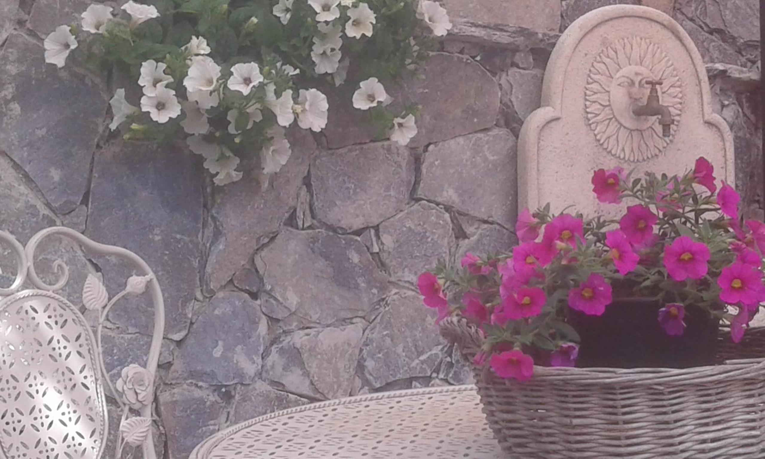 Dreams Guest House