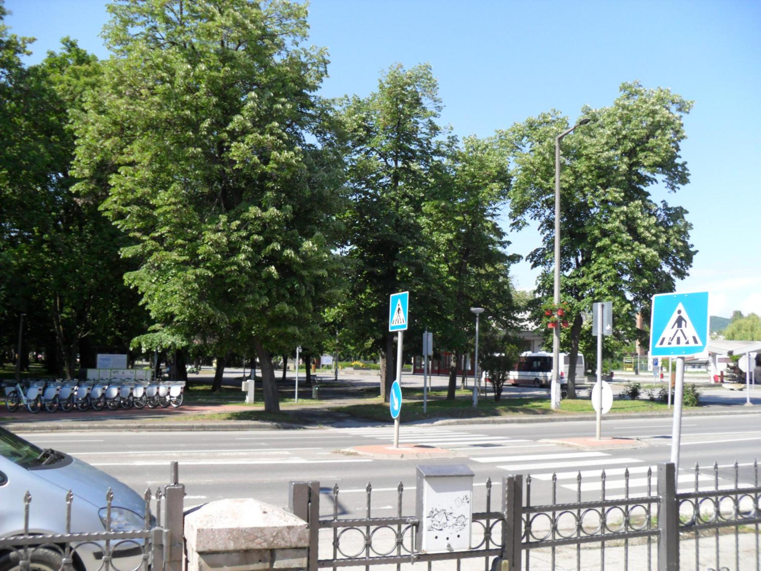 Photo 26
