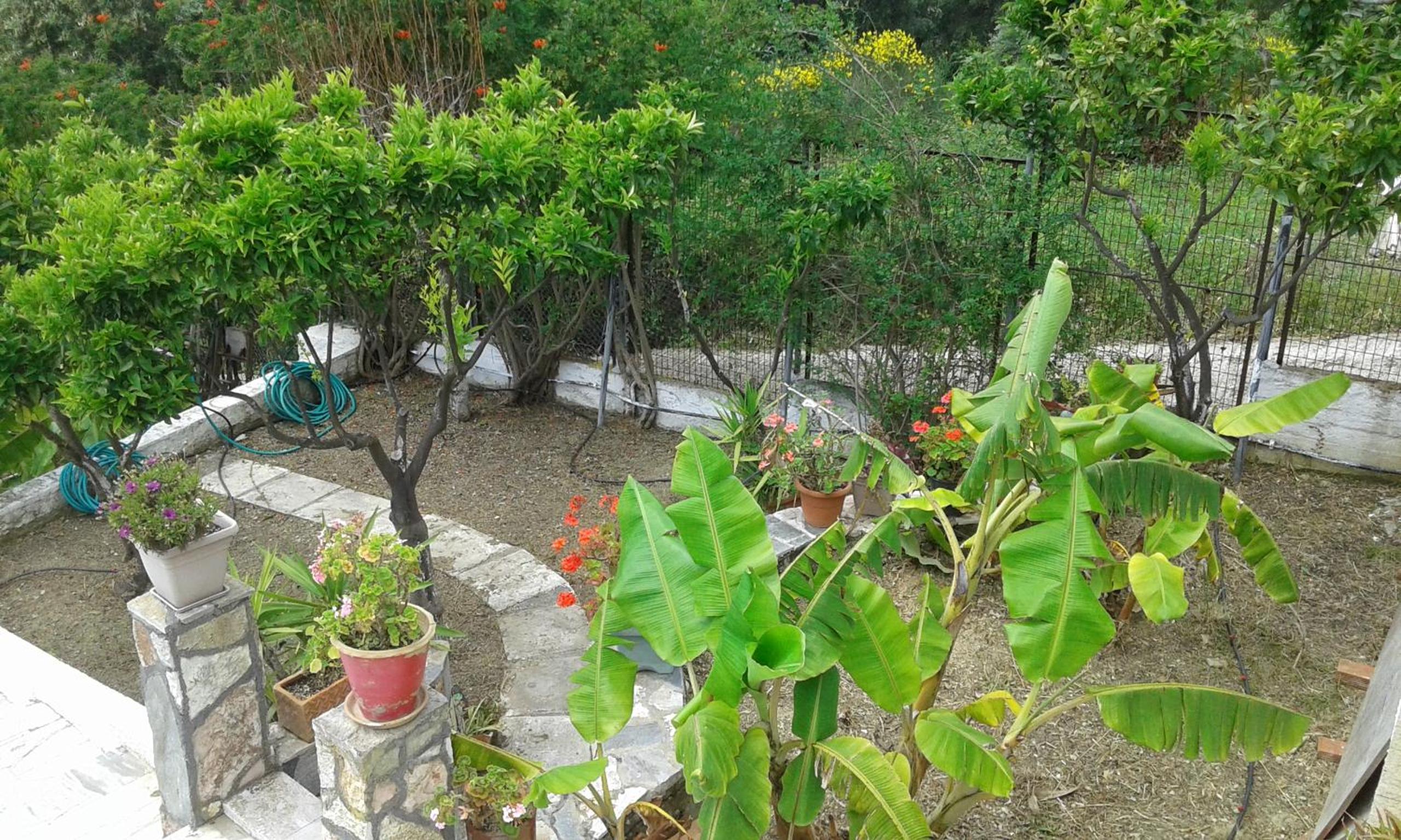 Akis Apartments Kontogialos-Pelekas