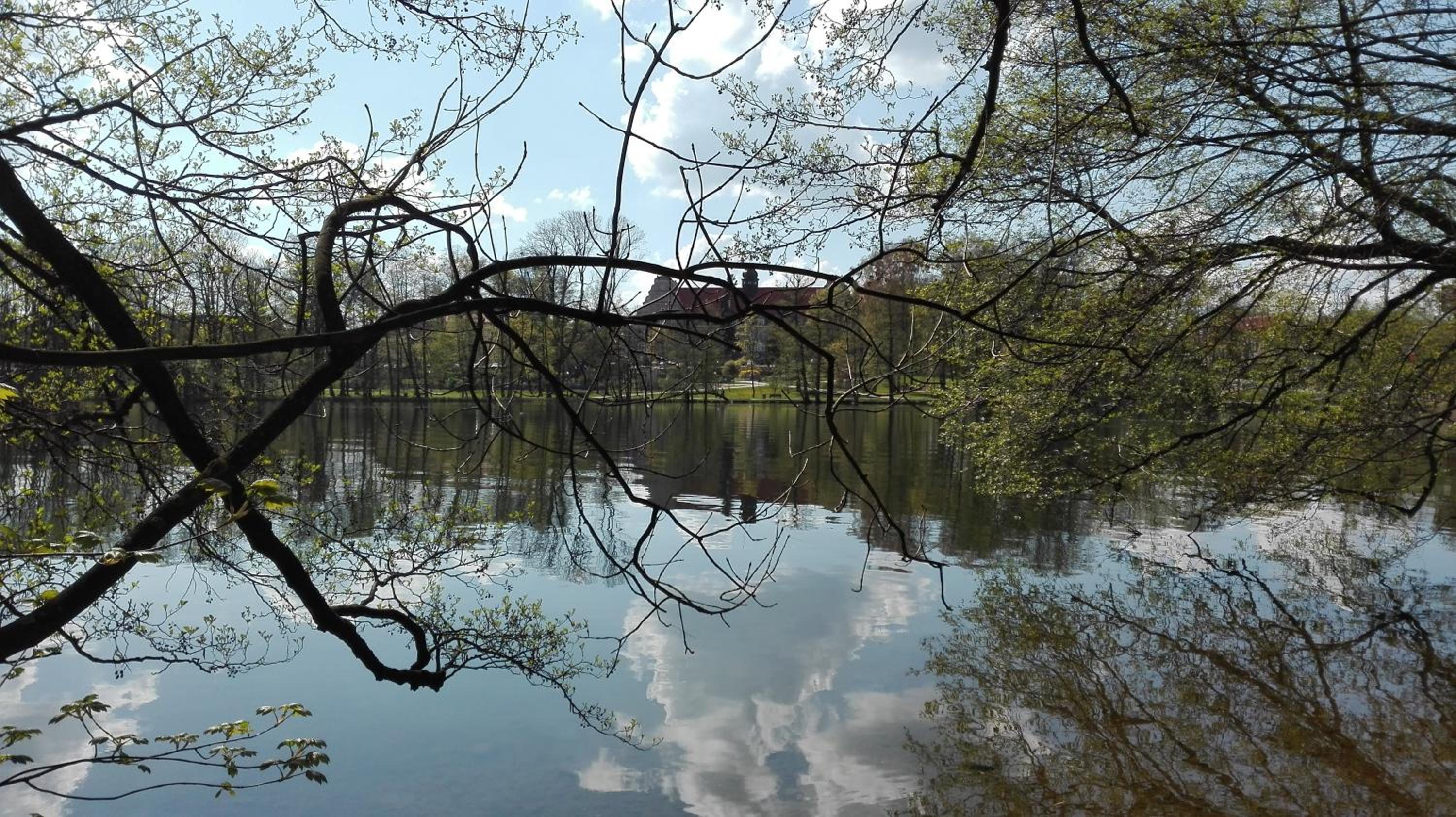 Stara Kamienica Centrum view 5