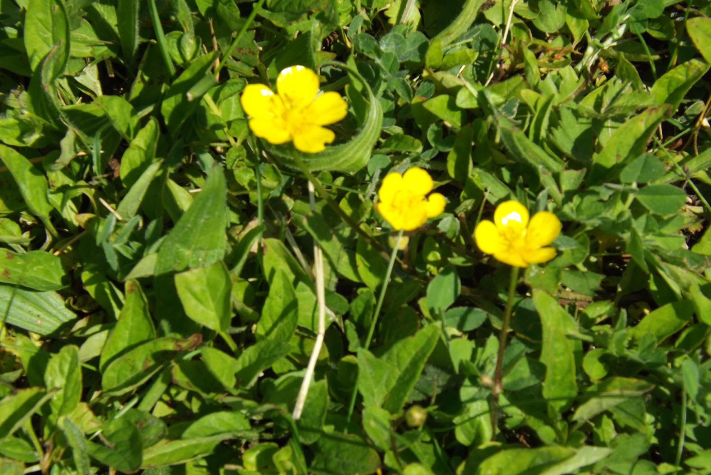 Photo 47