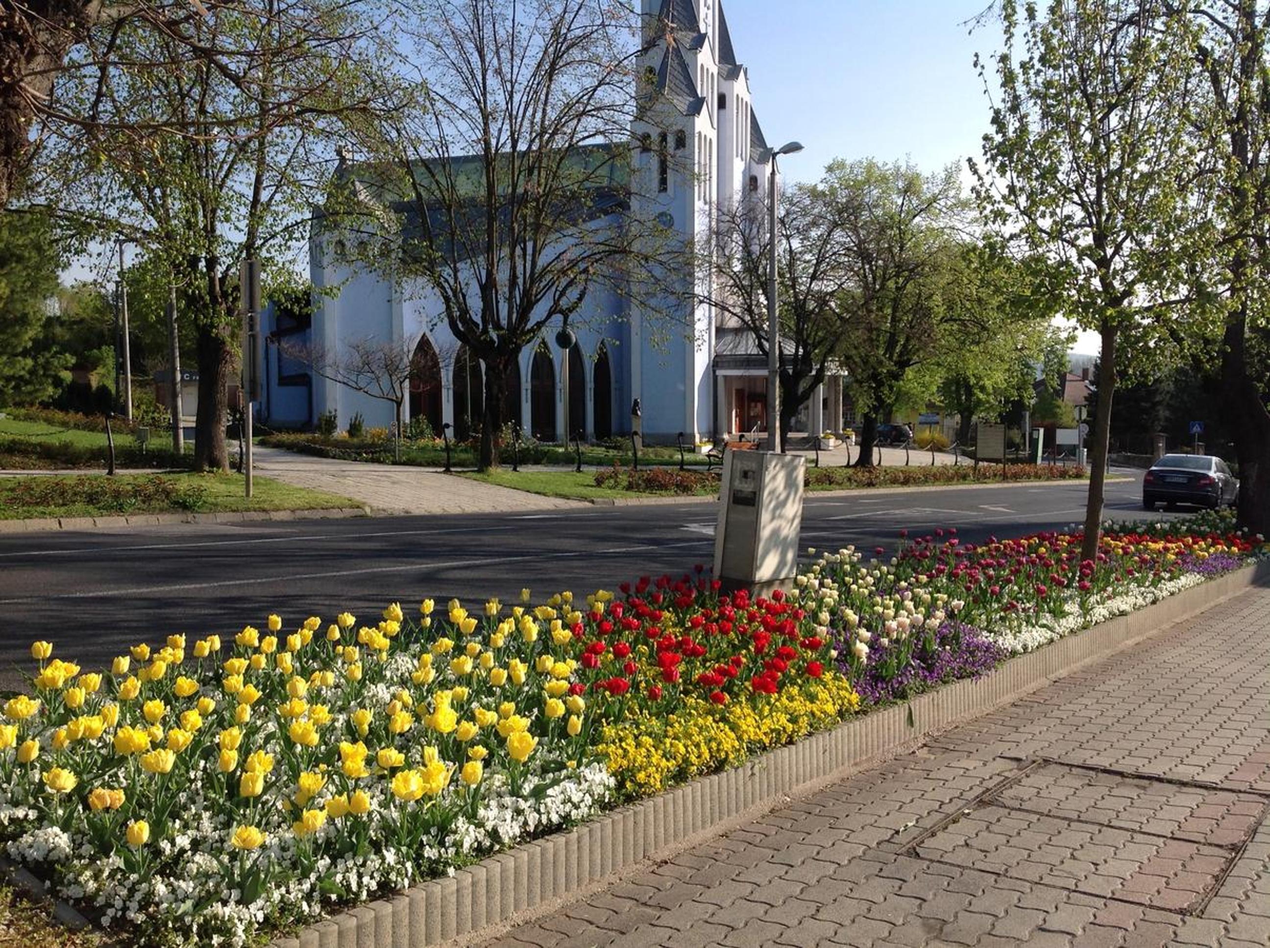 Photo 20