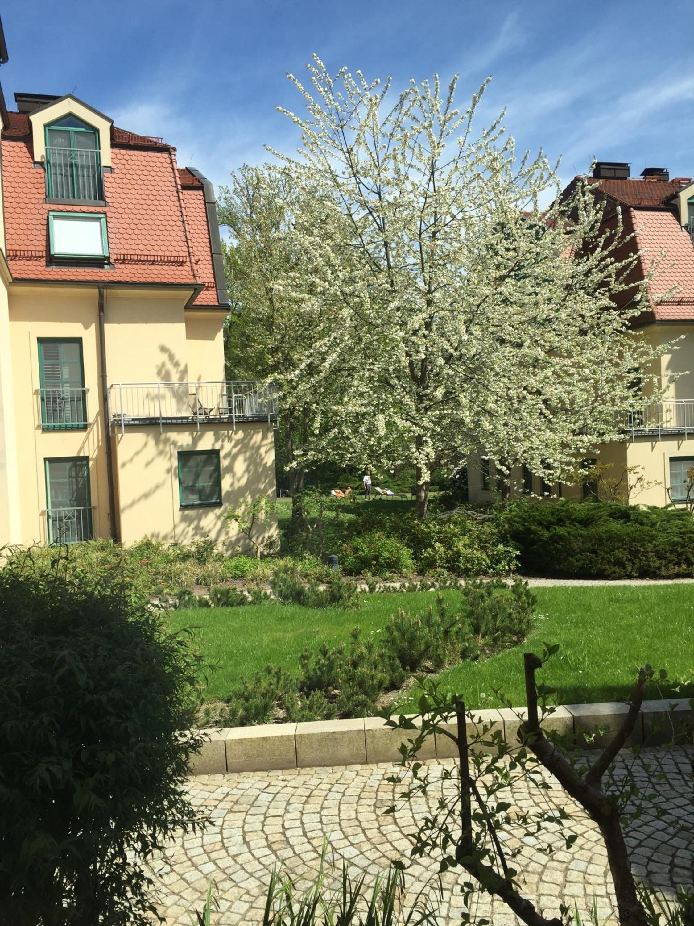 Ferienwohnung in Bad Saarow - Property Image 1