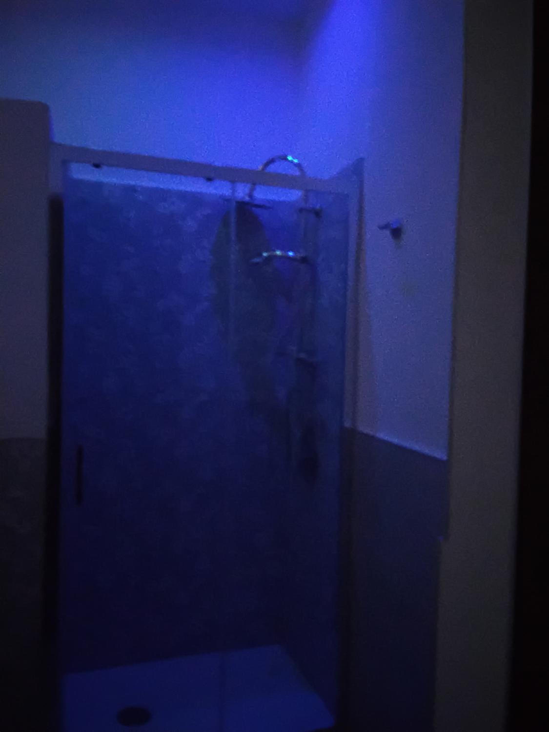 Anninedda Rooms