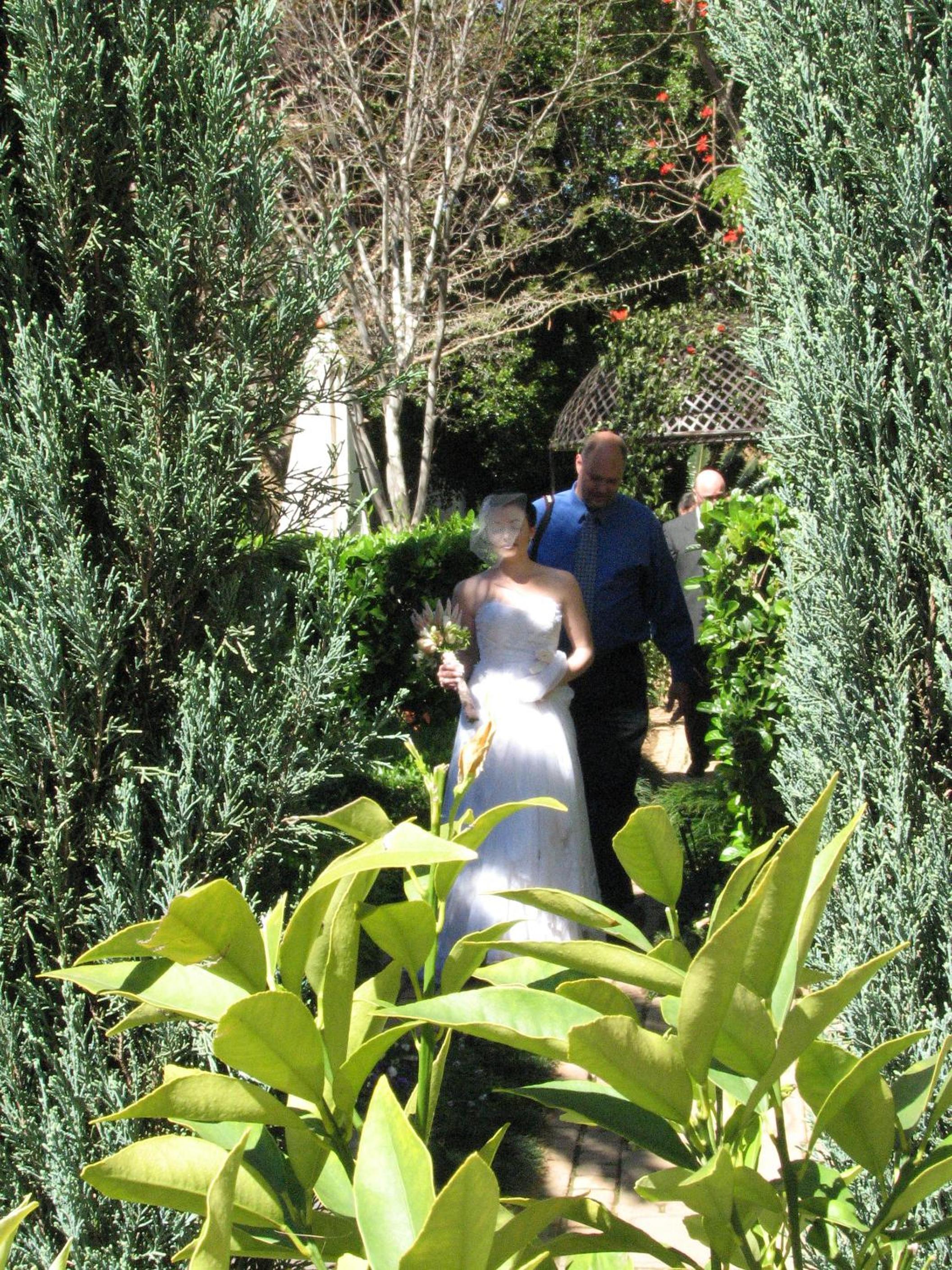 Photo 197