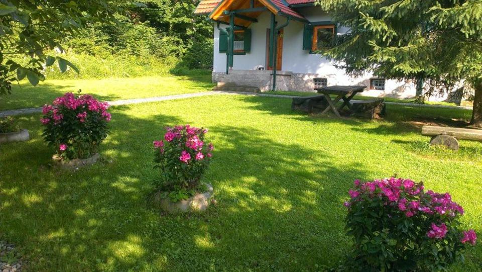 Photo 43