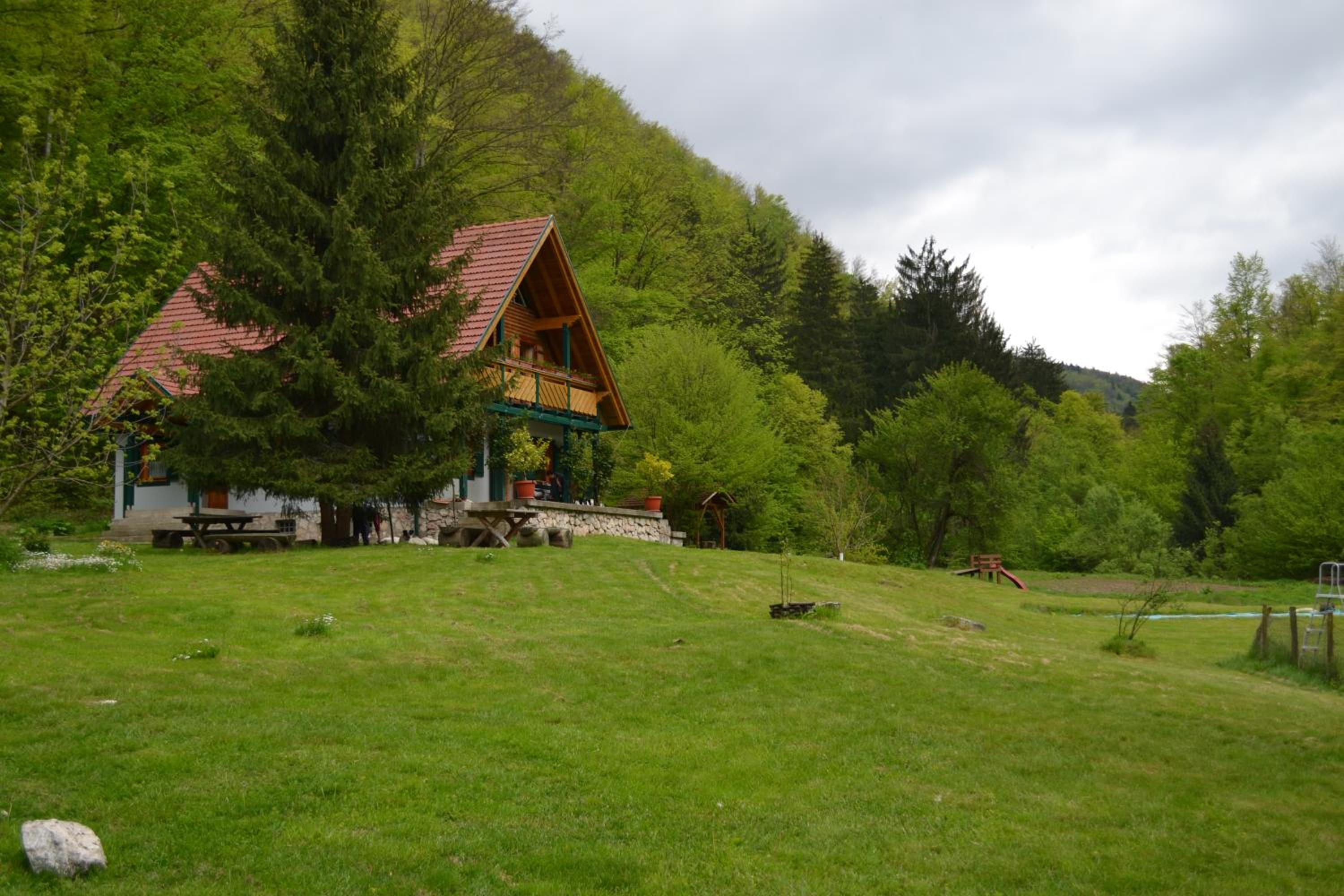 Photo 44