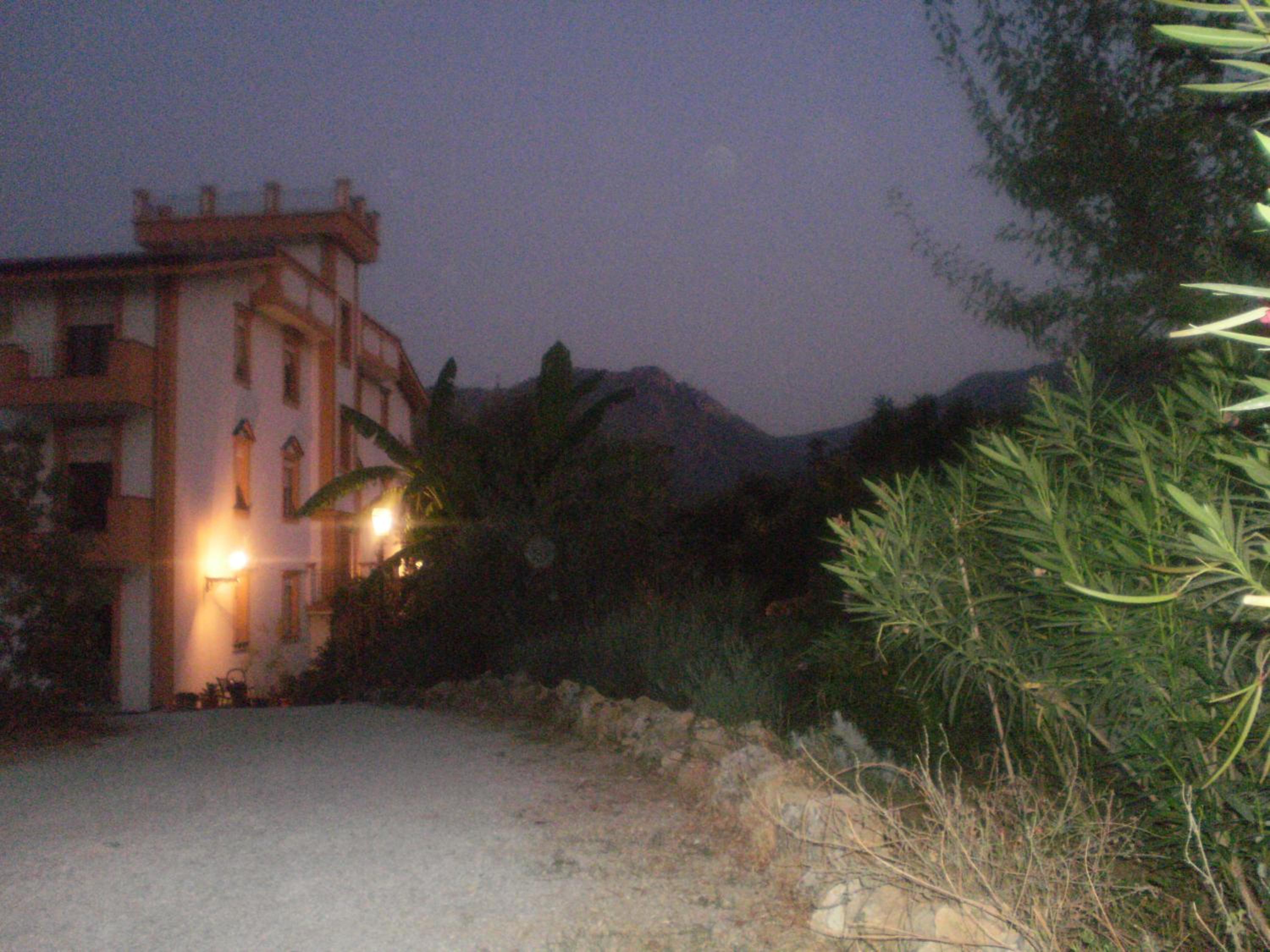Photo 42
