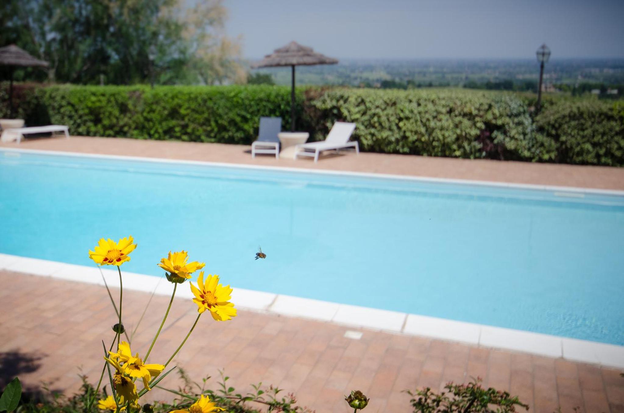 Agriturismo Ca'de'Gatti