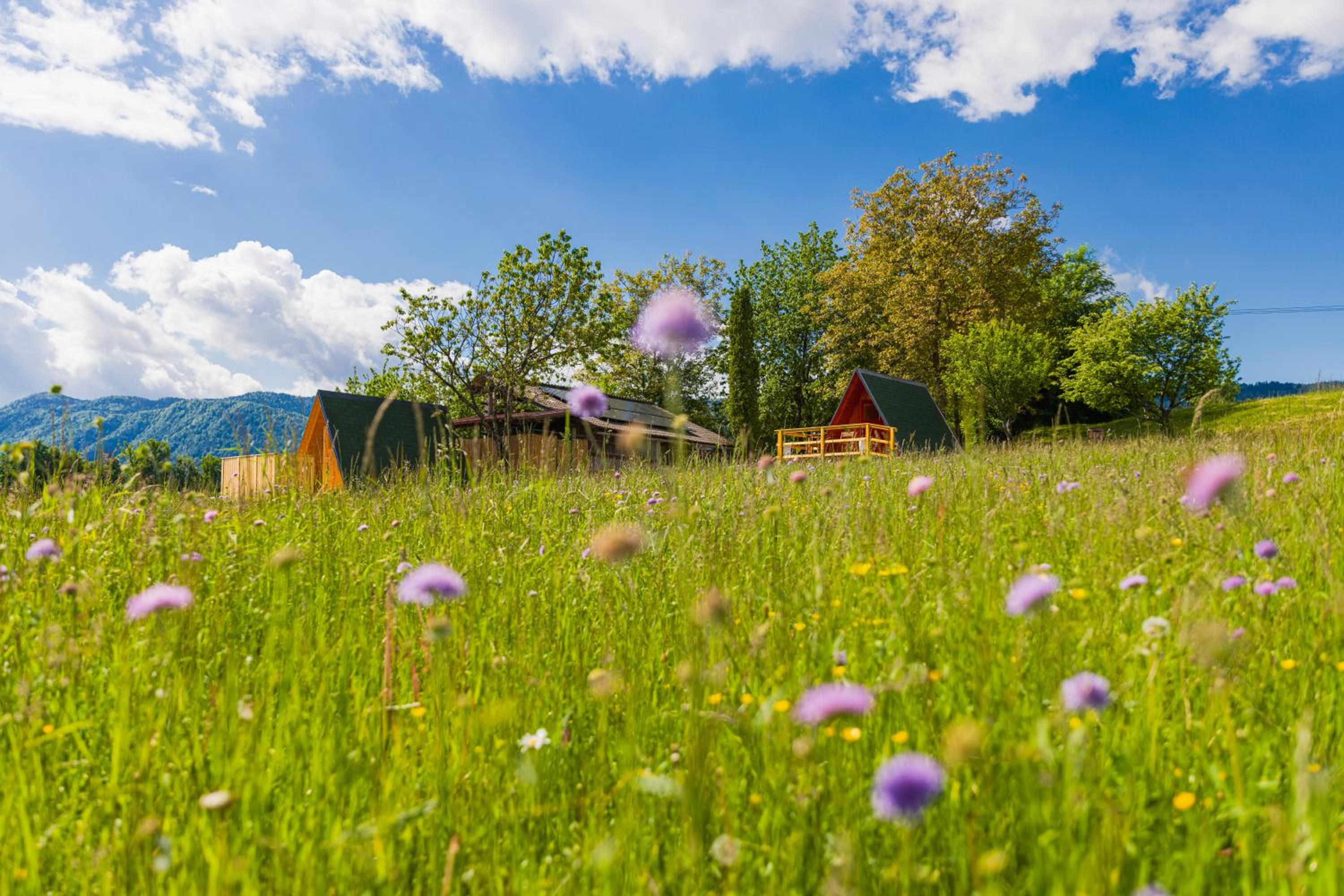 Komac Apartma & Glamping BLED