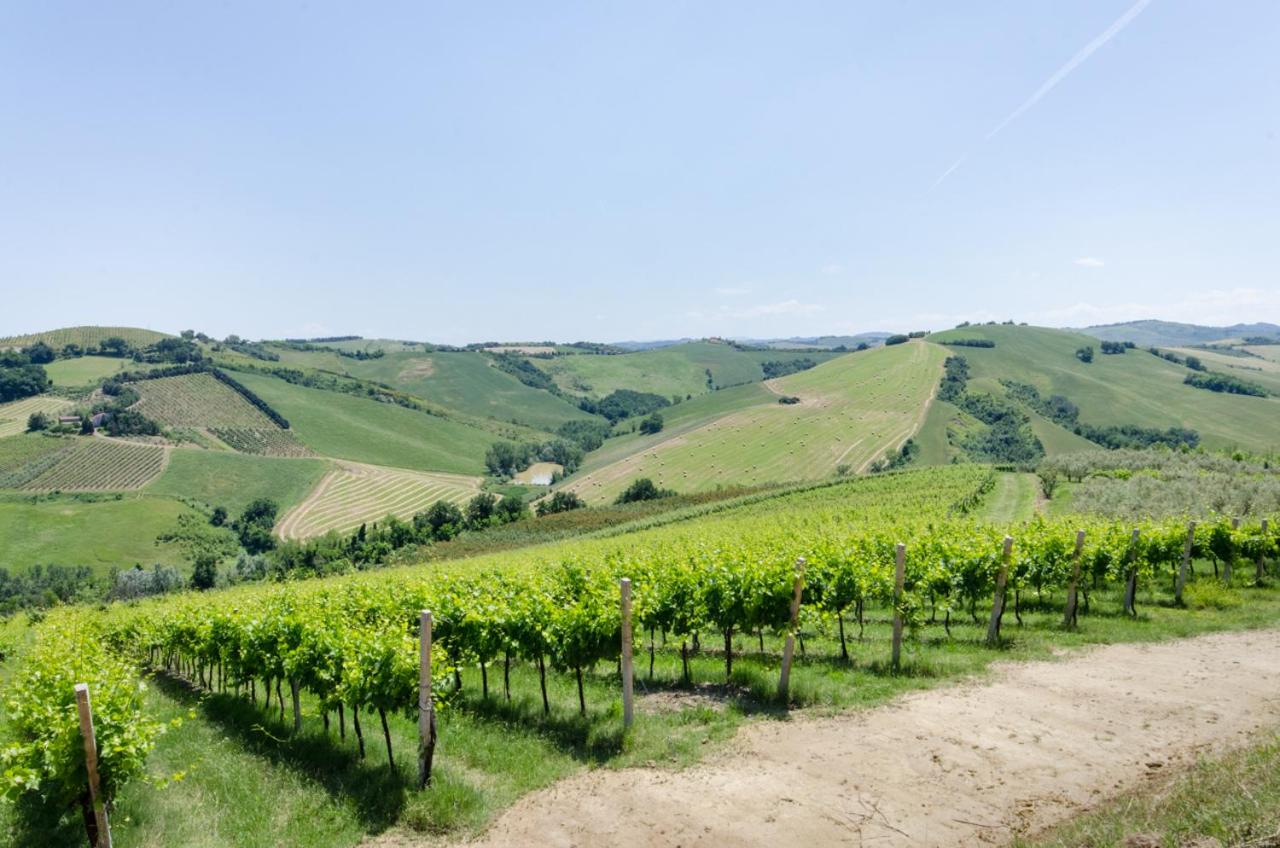 Agriturismo Ca'de'Gatti