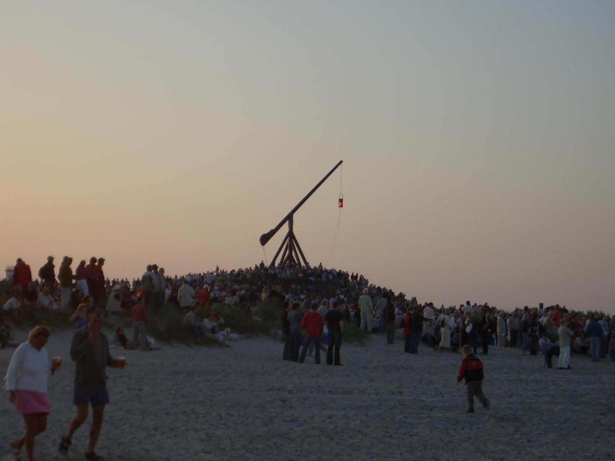 Photo 41