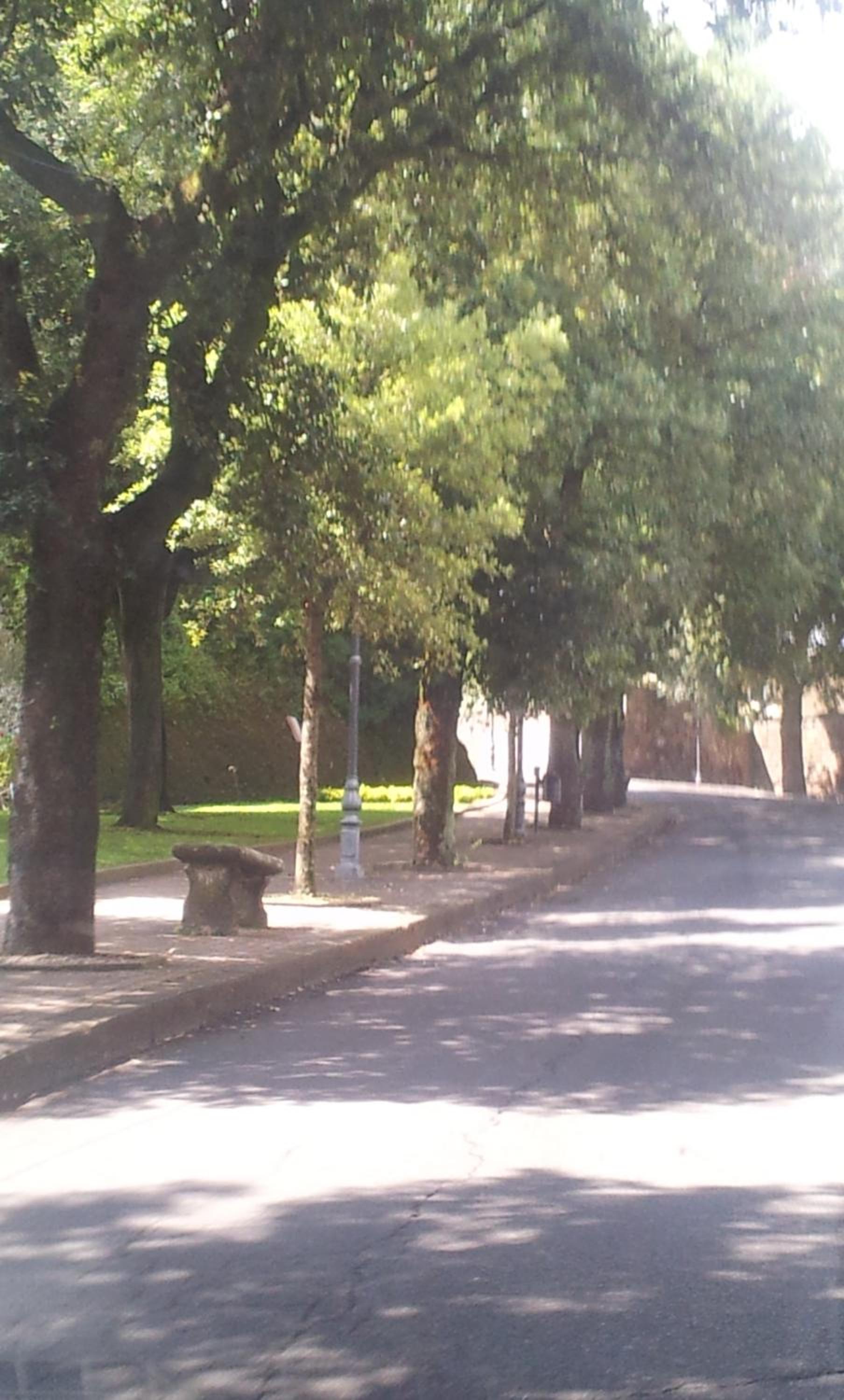 Nerone's - Sutri Bed & Better