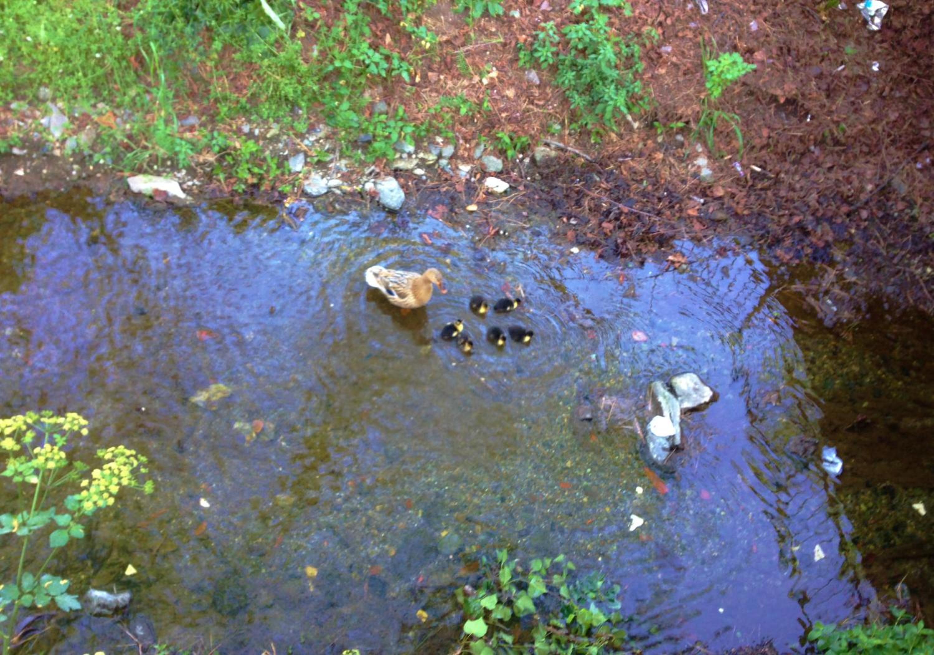 Photo 53