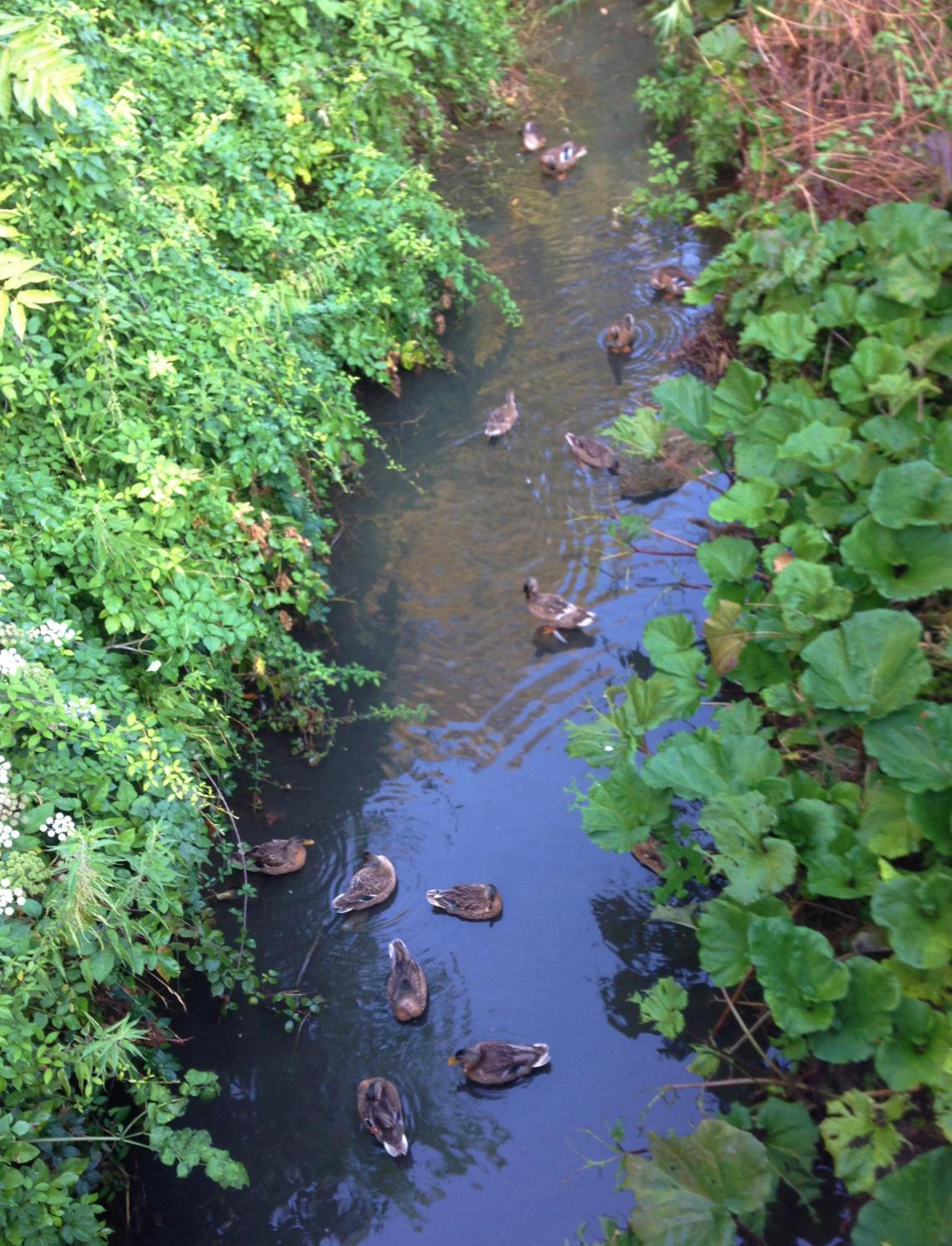 Photo 52