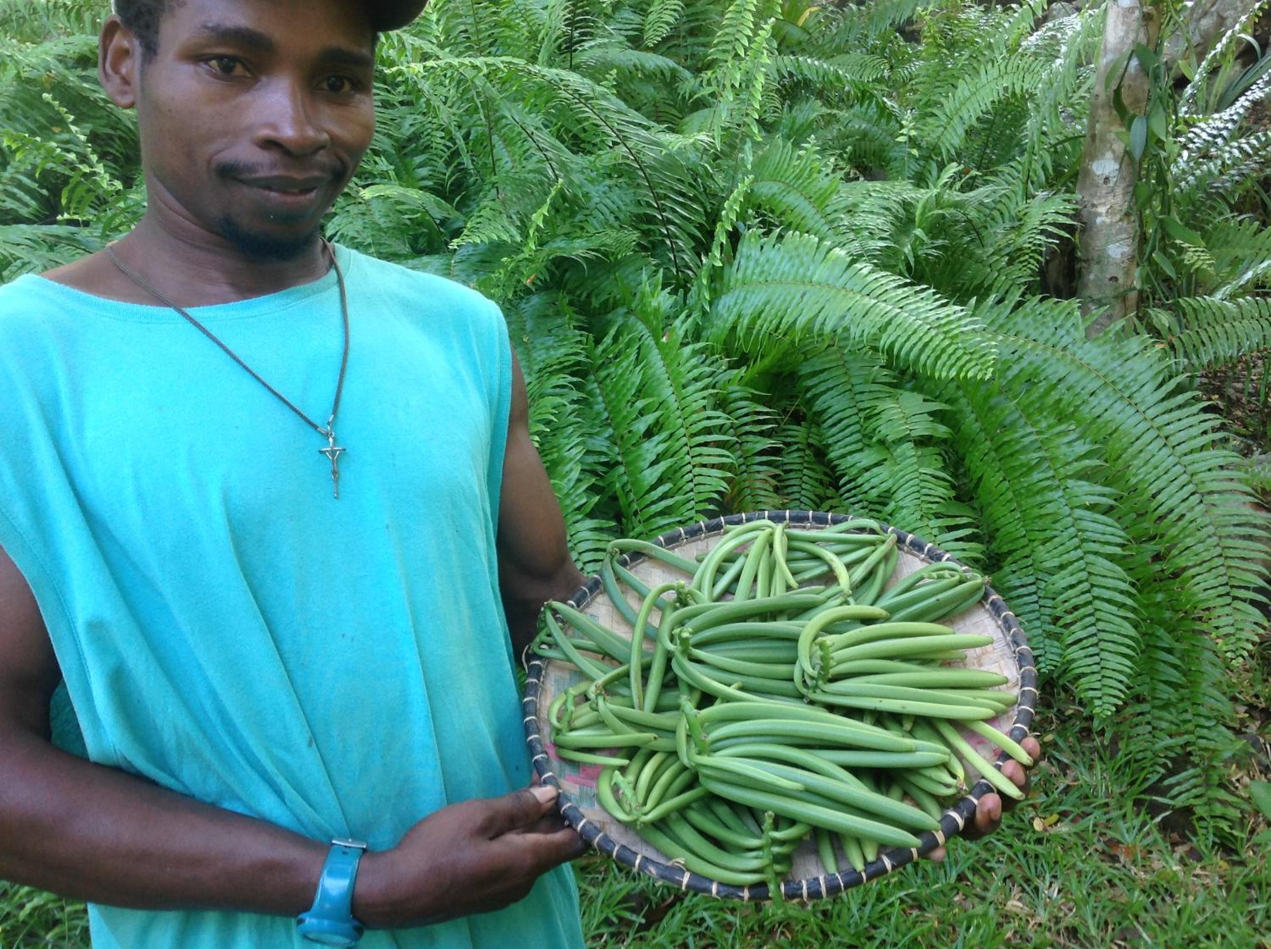 Photo 40