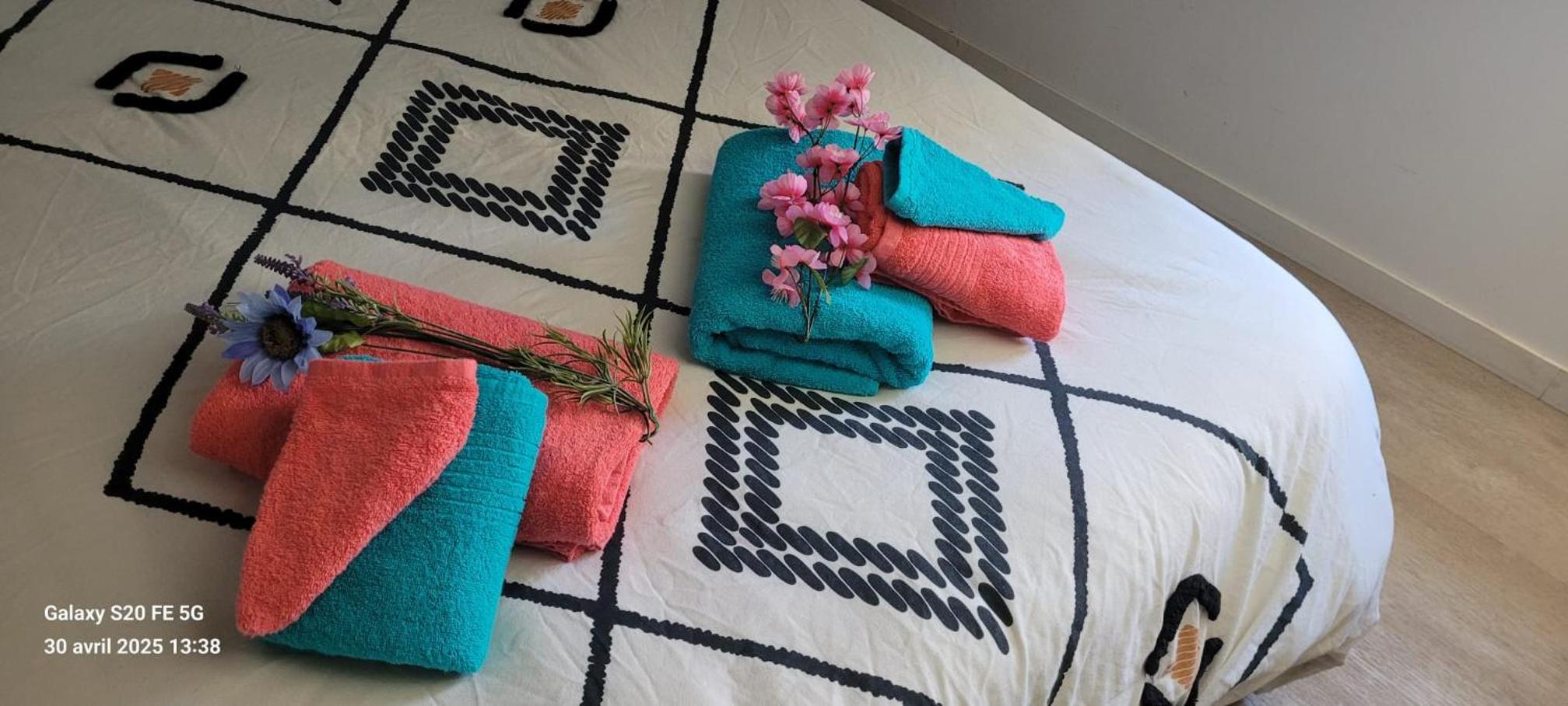 Les Volets Bleus - Au Calme avec petit Jardin et Patio - 3 appartements, photo 21
