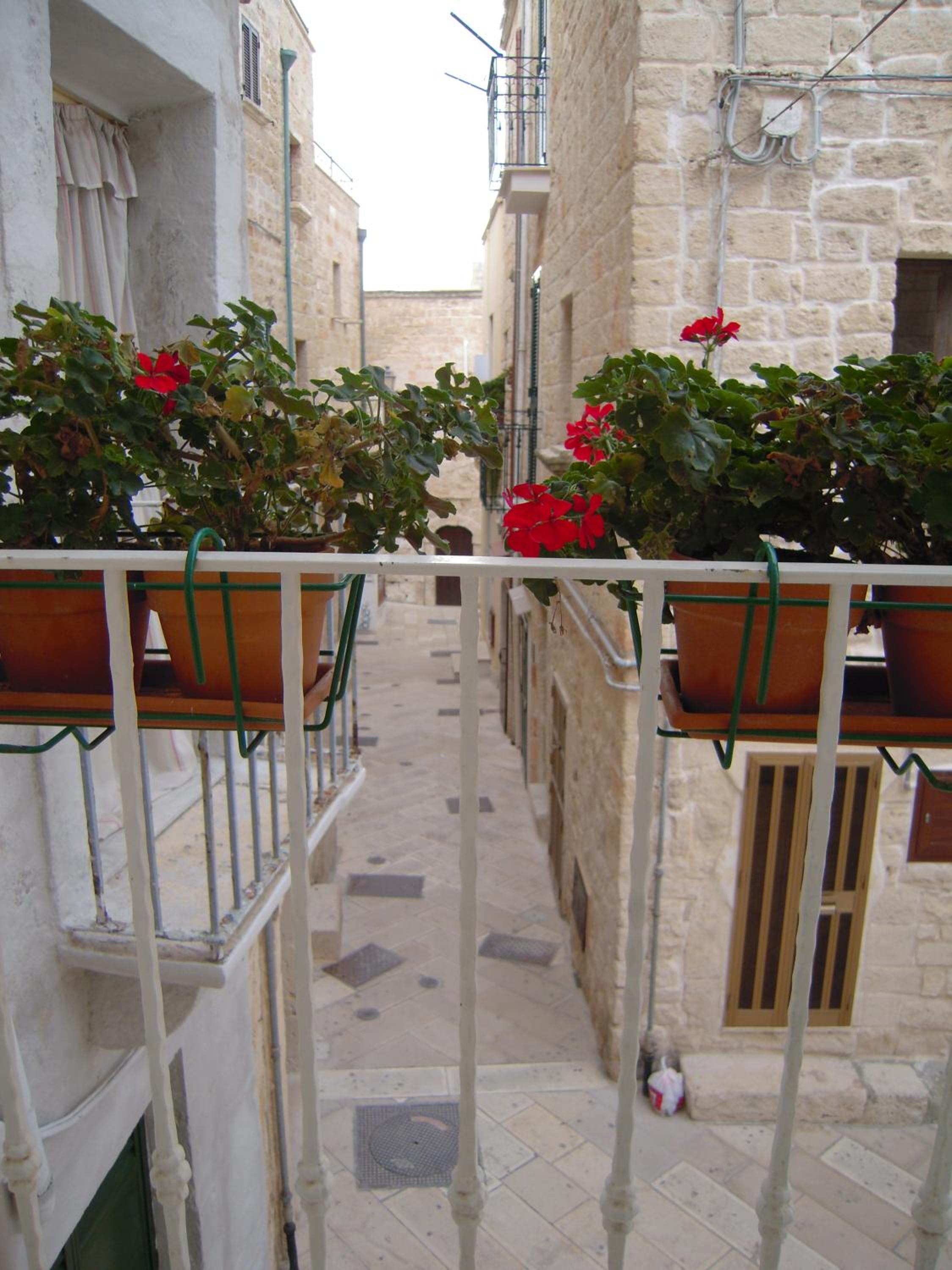 Photo 39