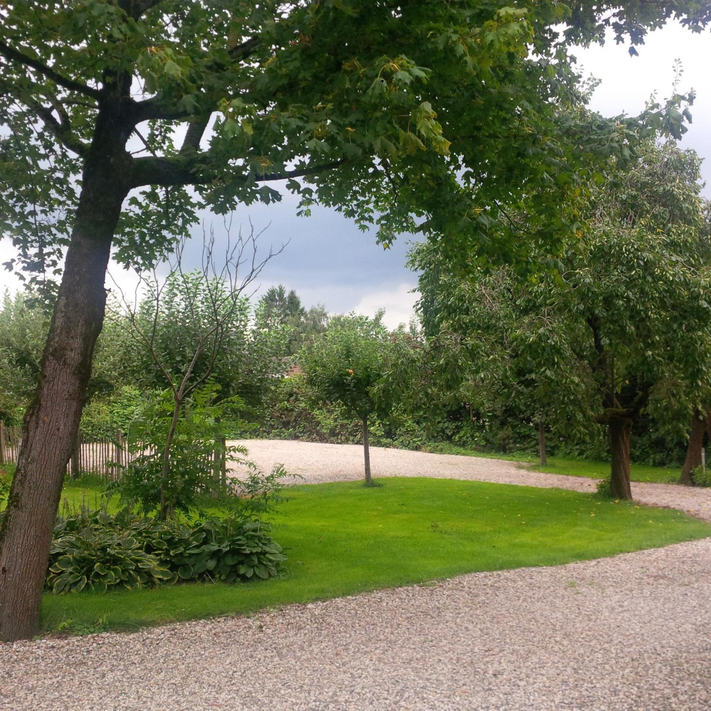 Photo 49