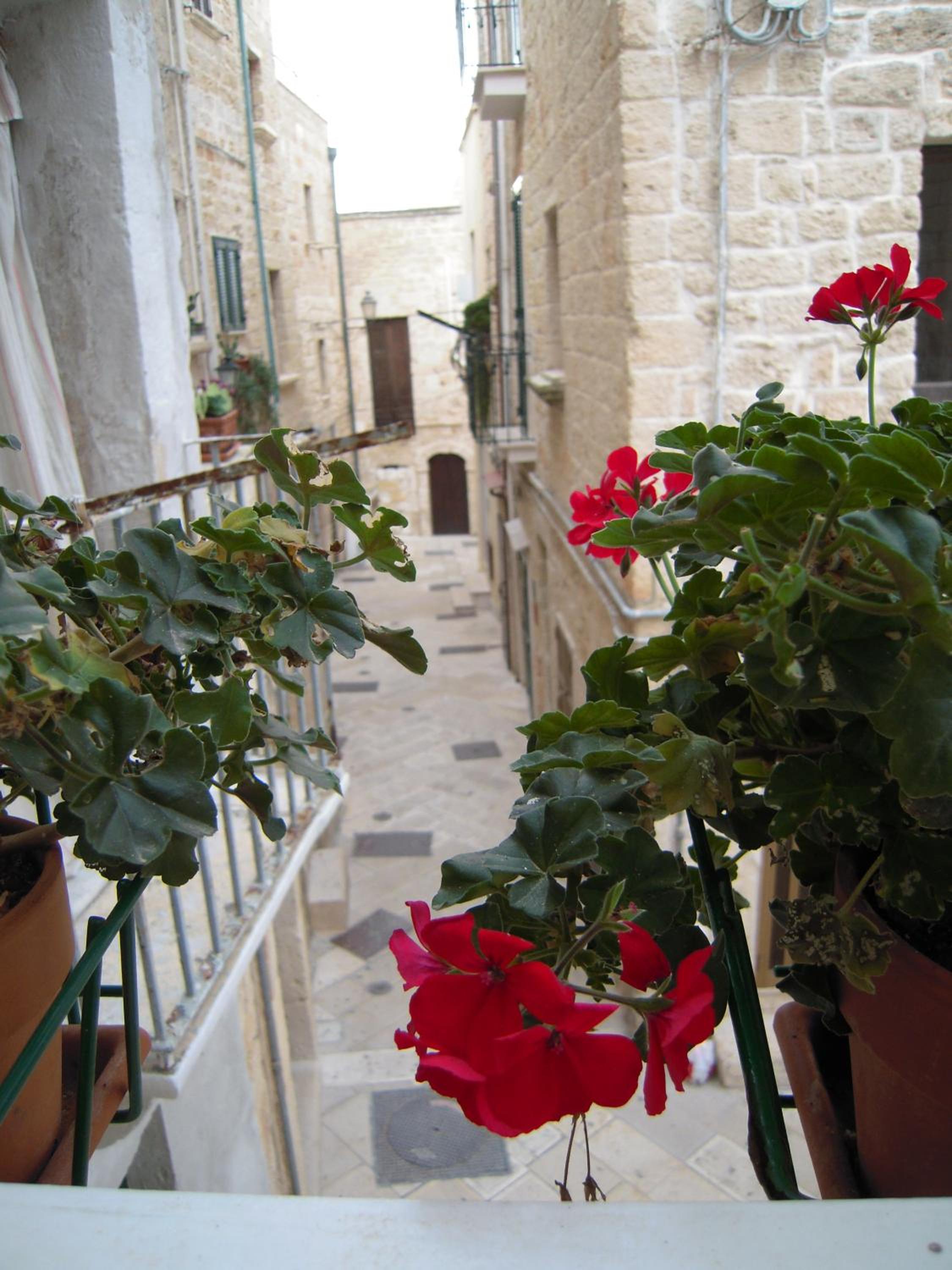 Photo 42