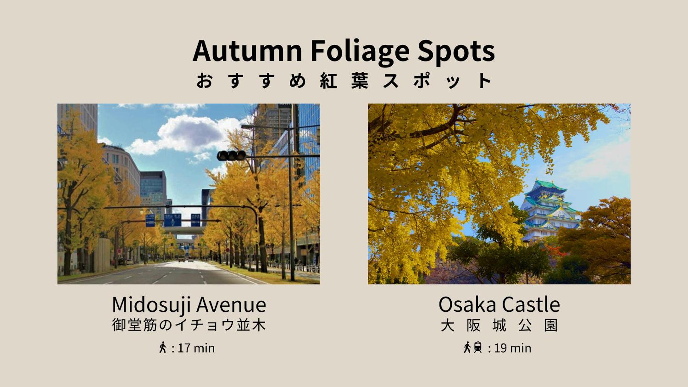 Hotel LEGALIE Osaka Shinsaibashi East