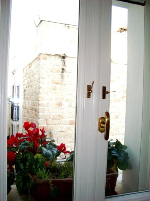 Photo 48