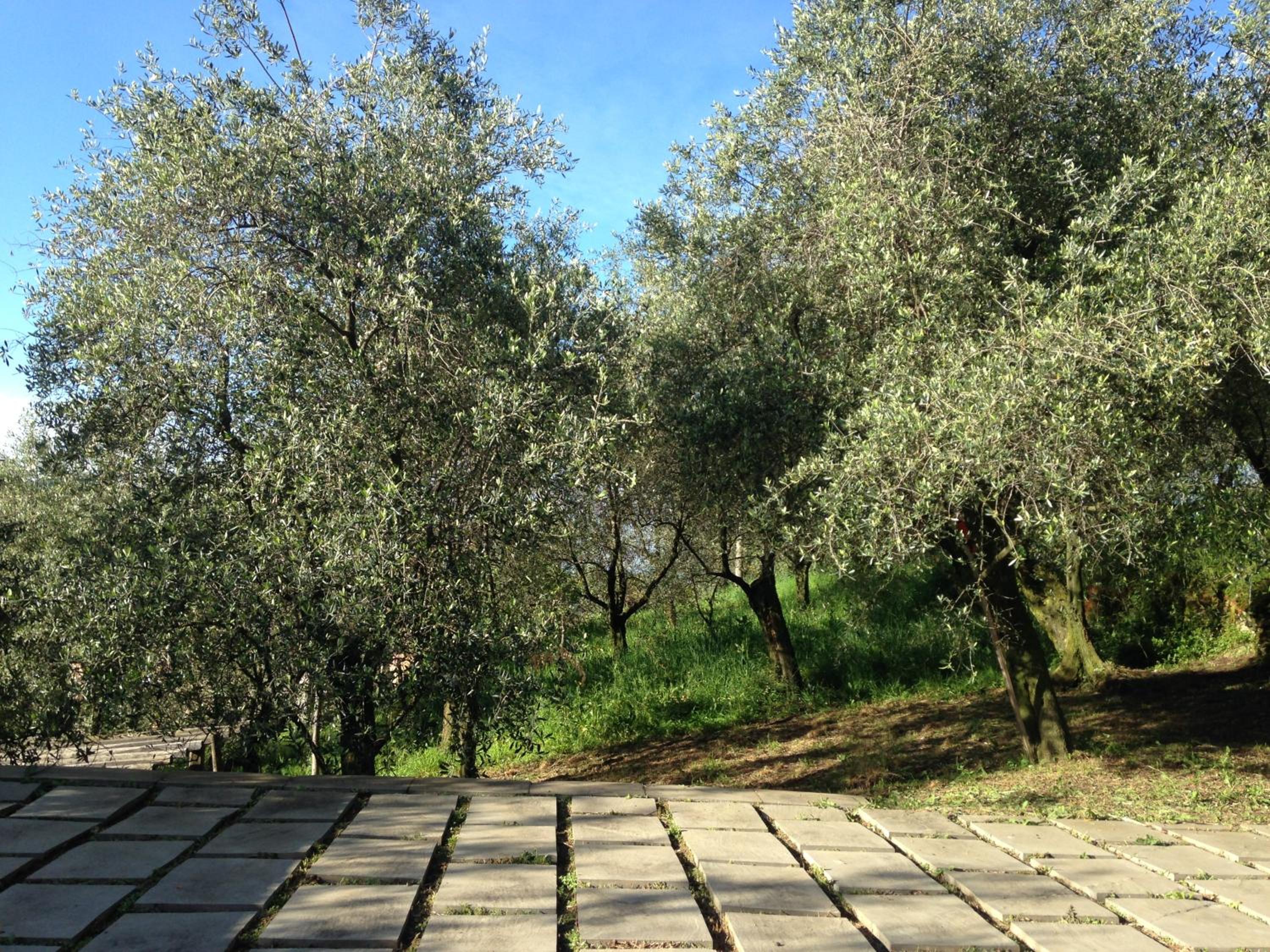 Casa Aquarela