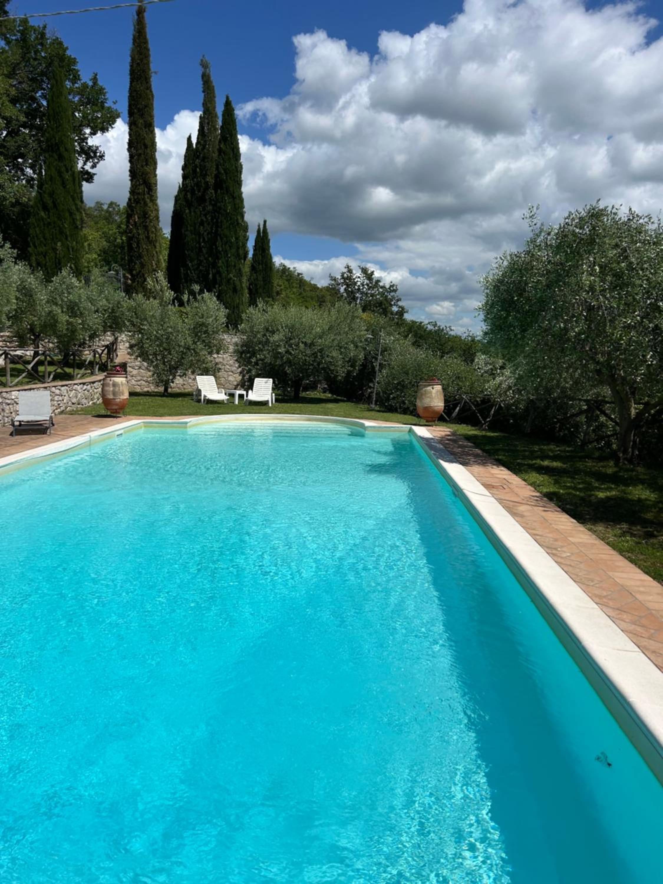 Photo 54