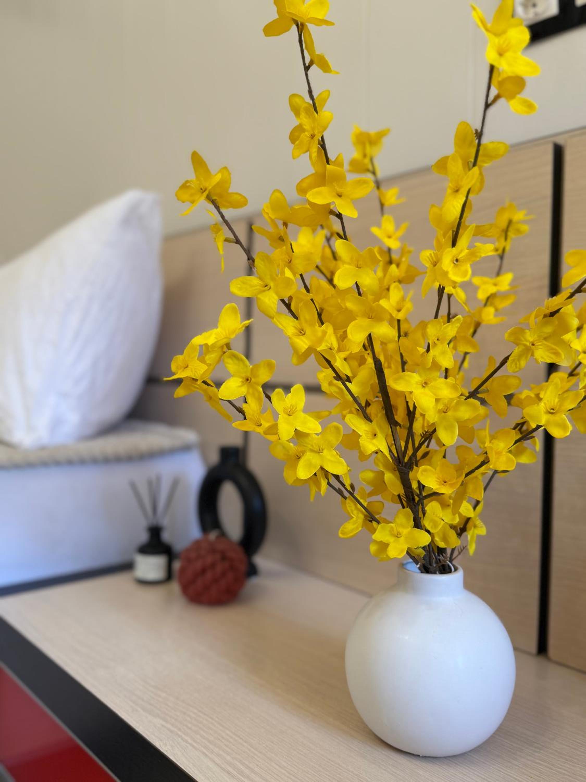Dayanas Suite