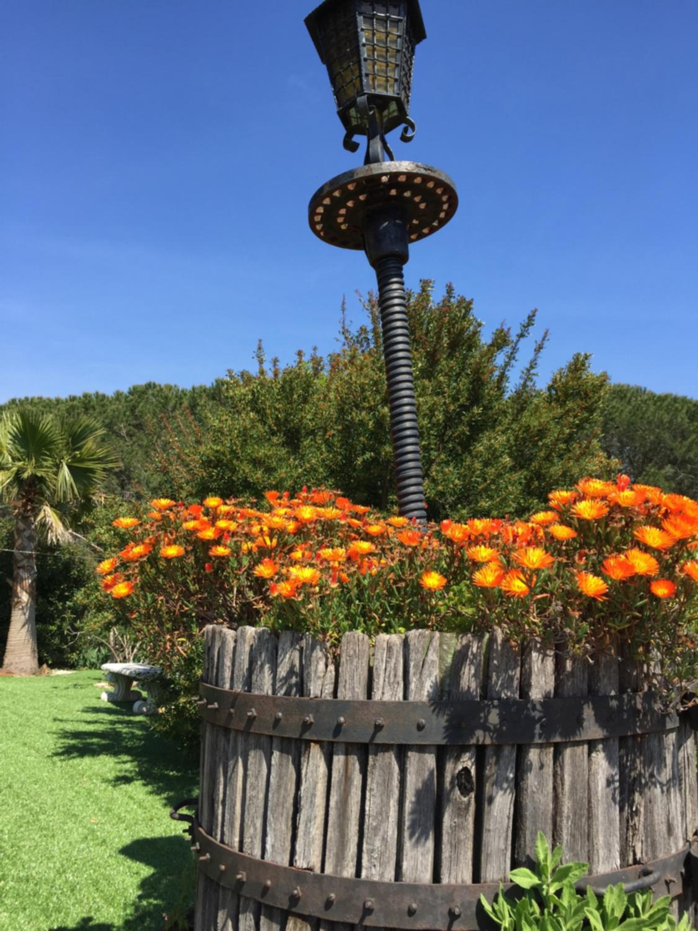 Domaine du Mas de Peyres, photo 6