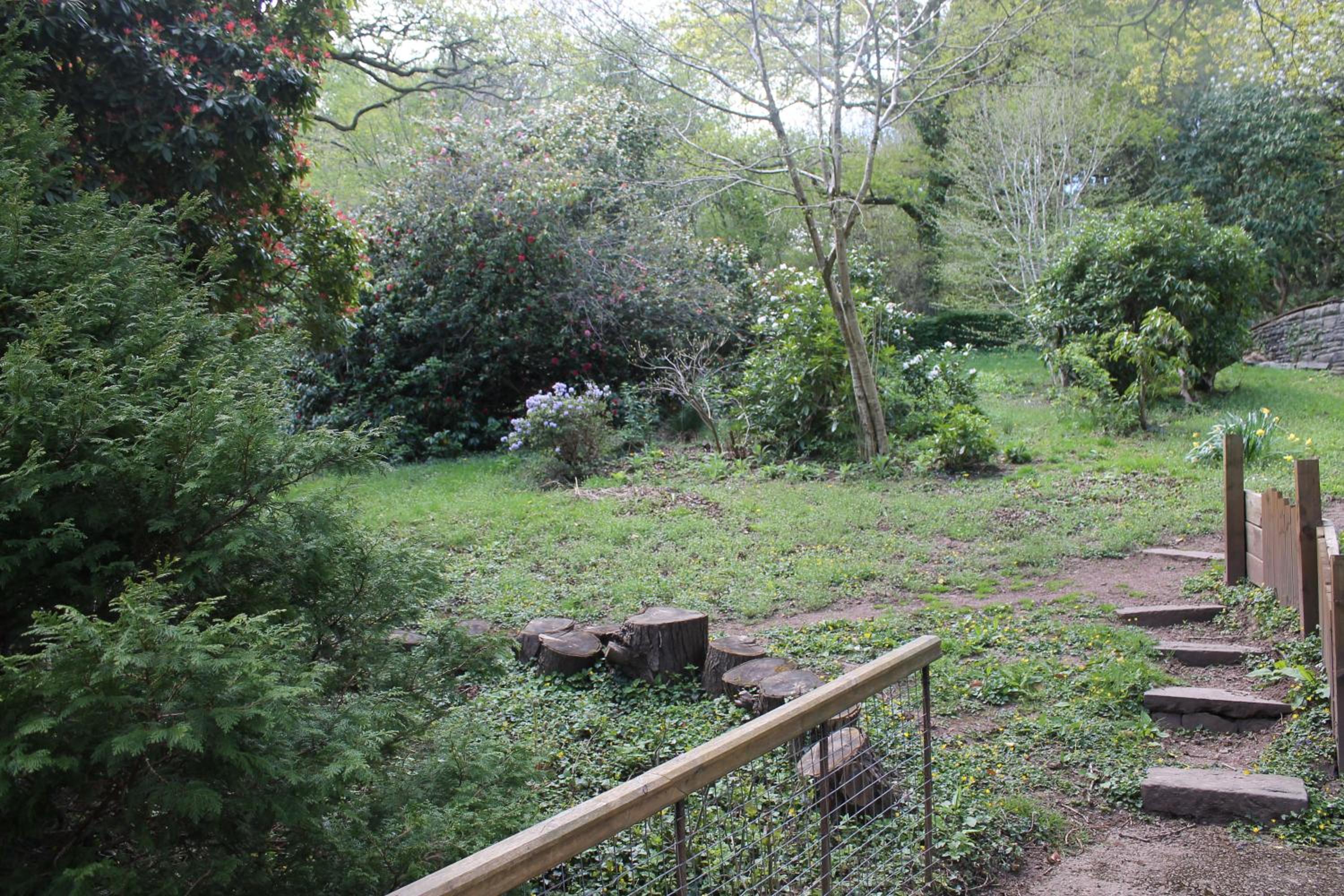 Photo 26