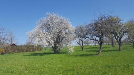 Photo 33
