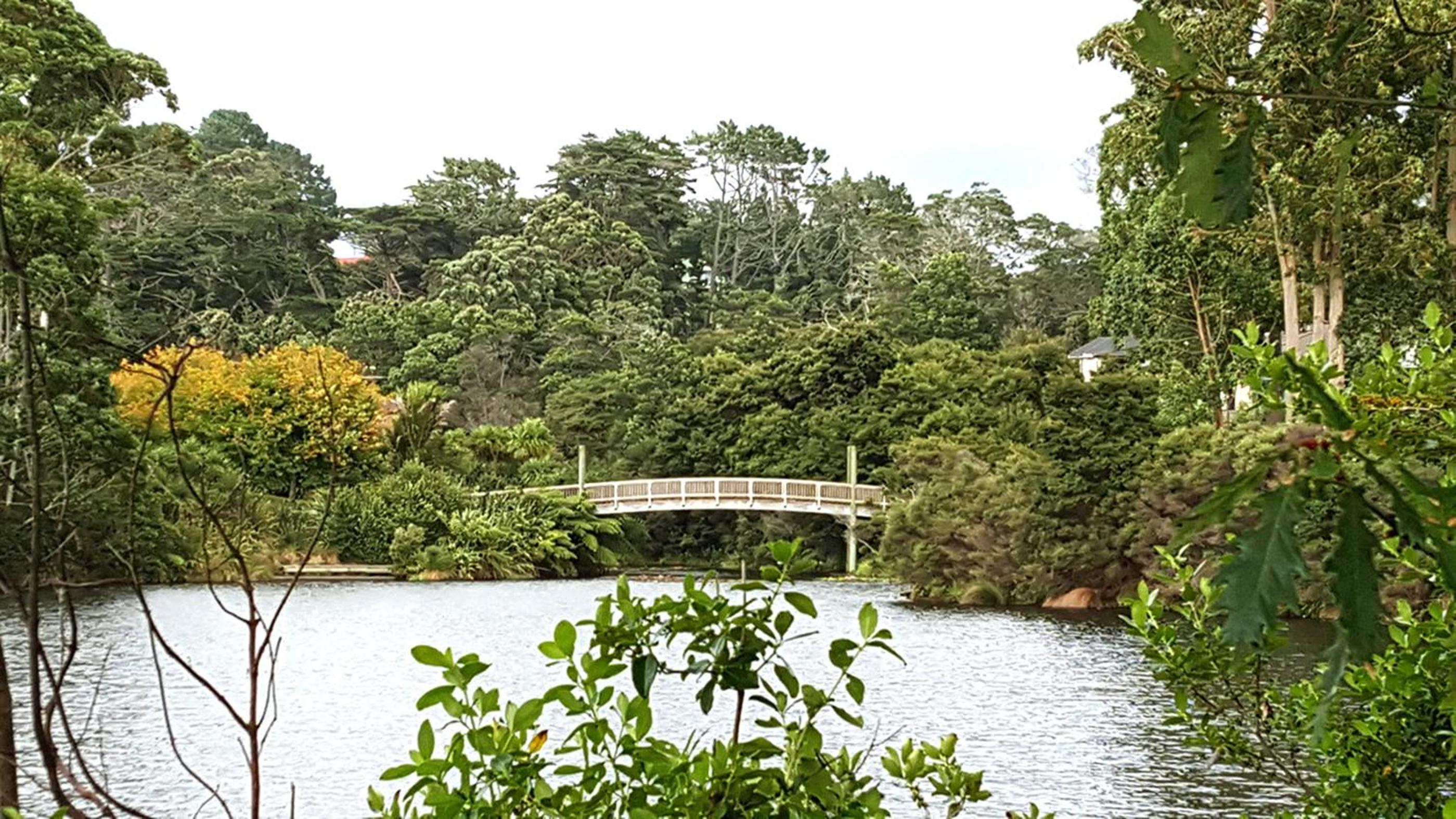 Lush & Co Auckland Bed & Breakfast