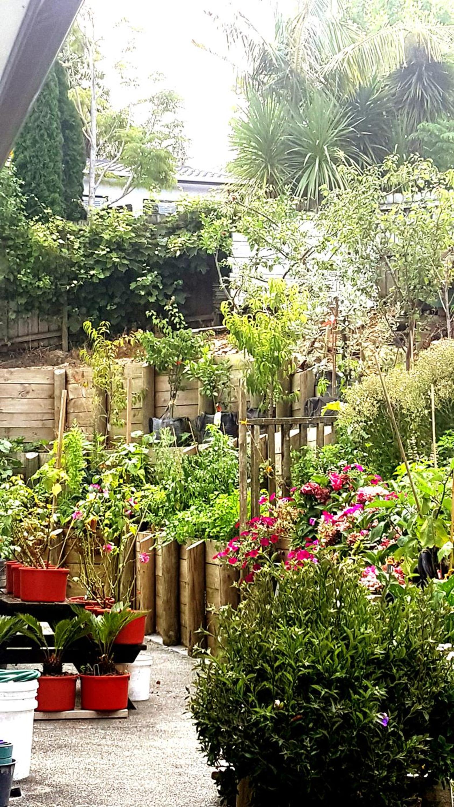 Lush & Co Auckland Bed & Breakfast