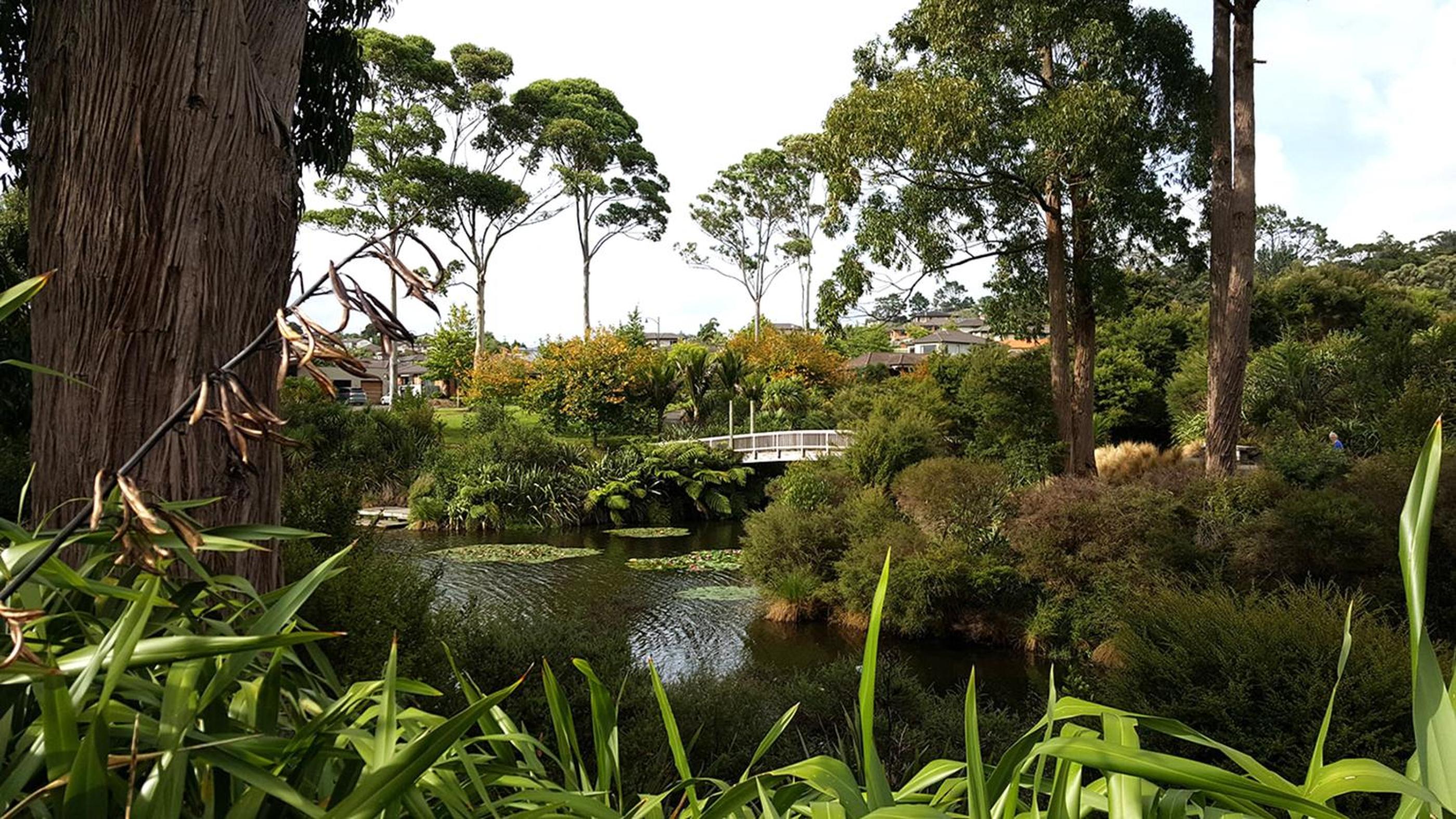 Lush & Co Auckland Bed & Breakfast