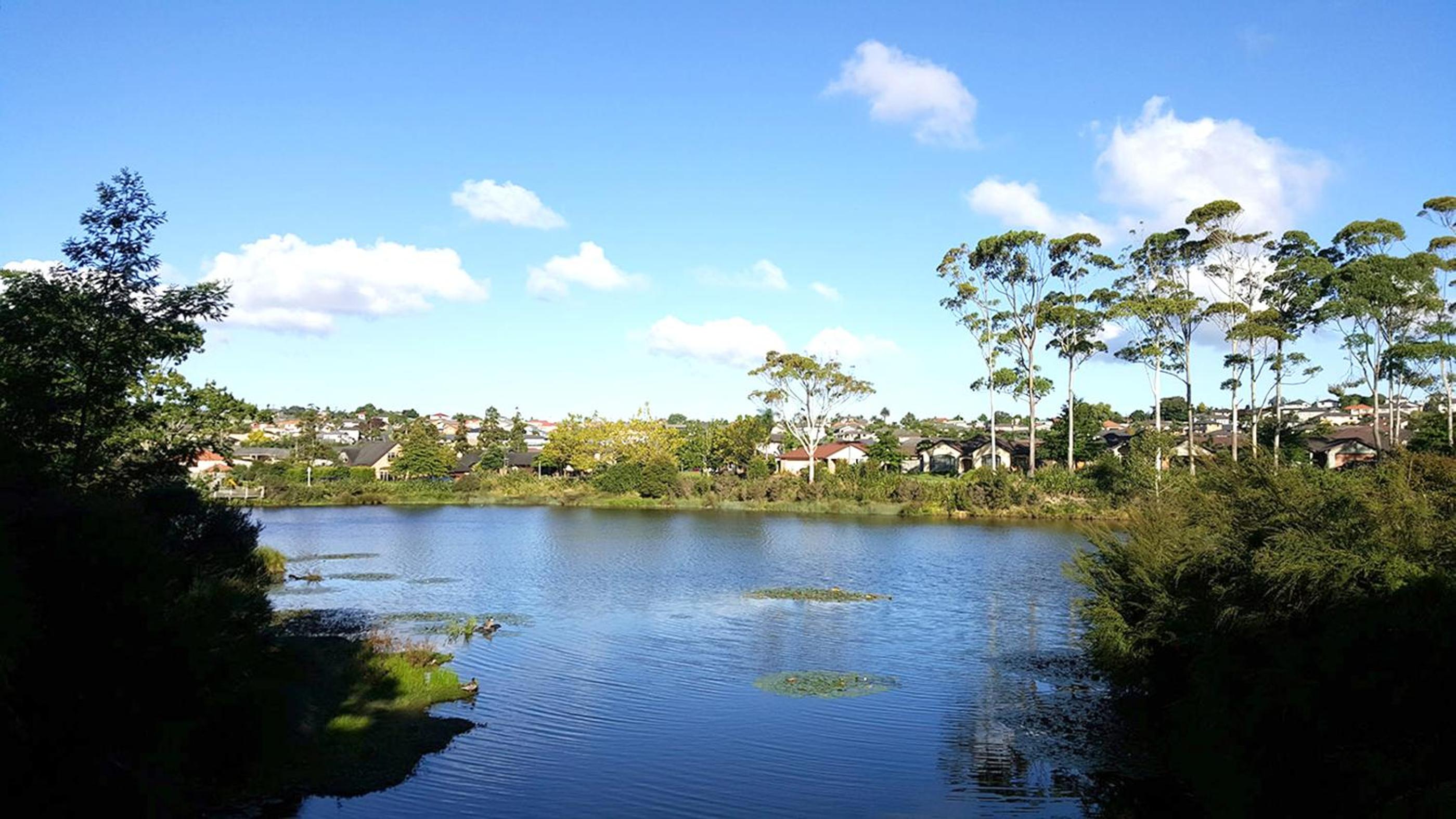 Lush & Co Auckland Bed & Breakfast