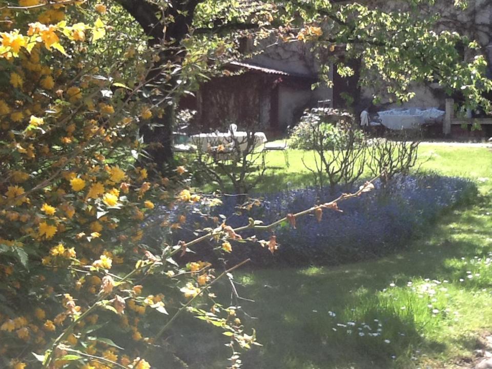 Photo 45