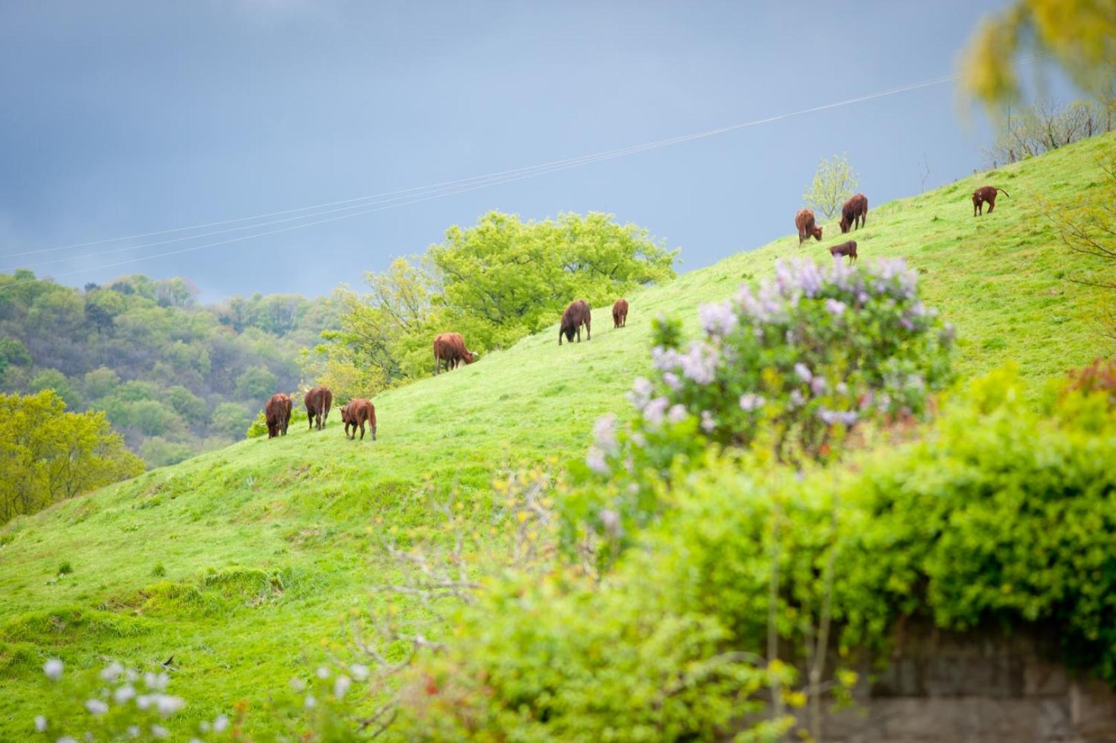 La Ferme du Cayla