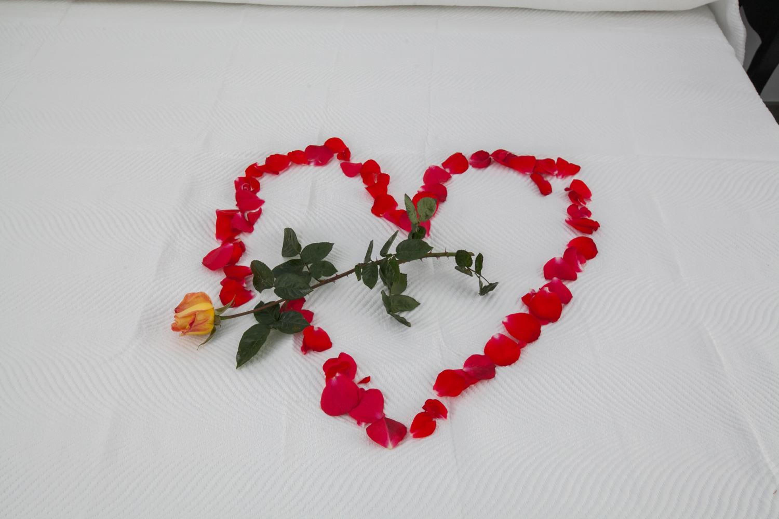 Hostal Boutique Bajamar
