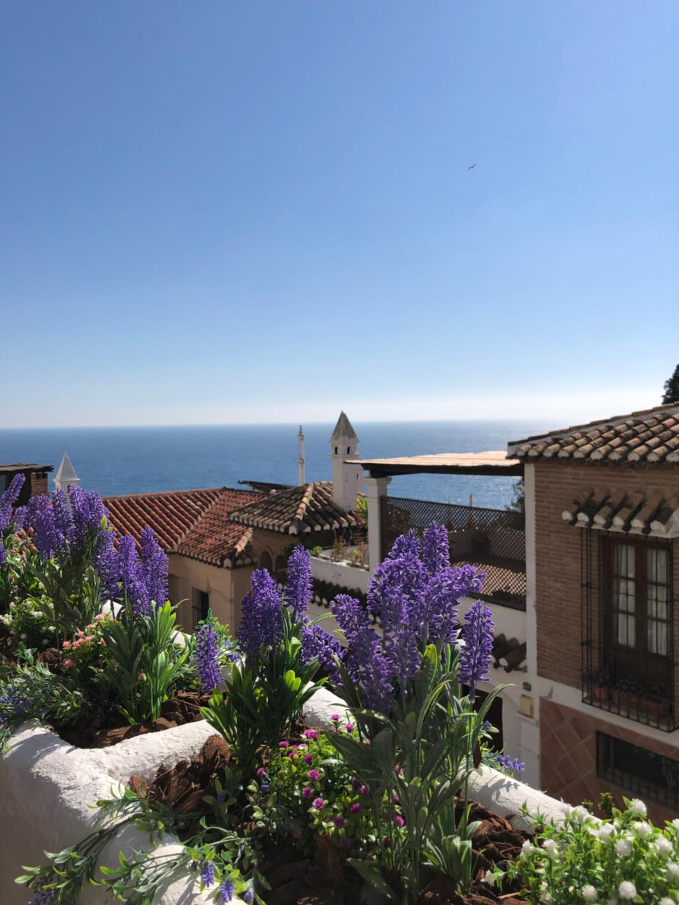 Charming idyllic sea view house