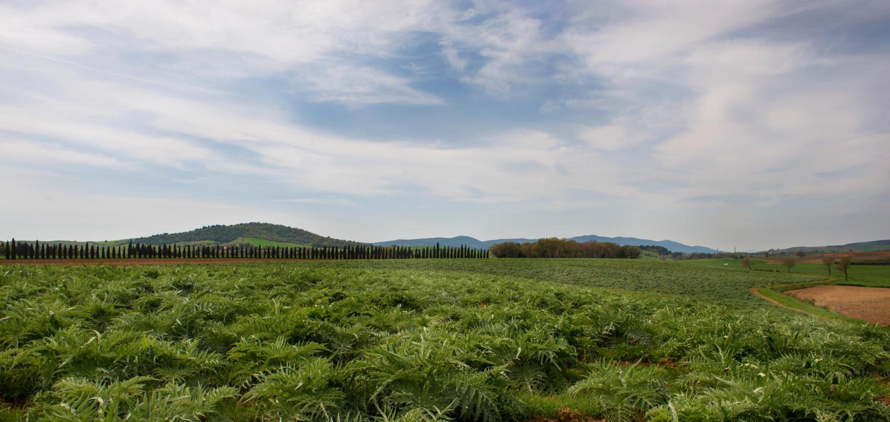 LaSelva