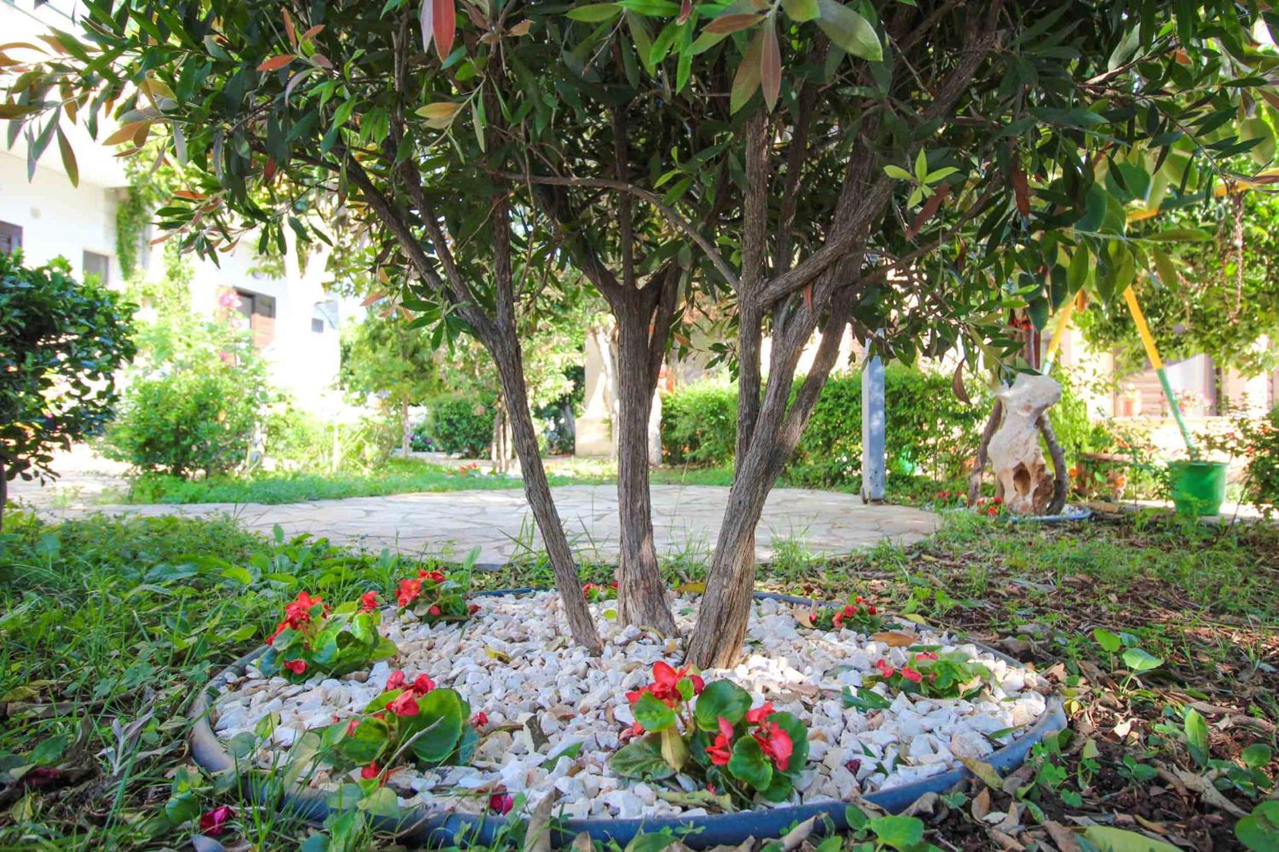 Flower Garden Villa