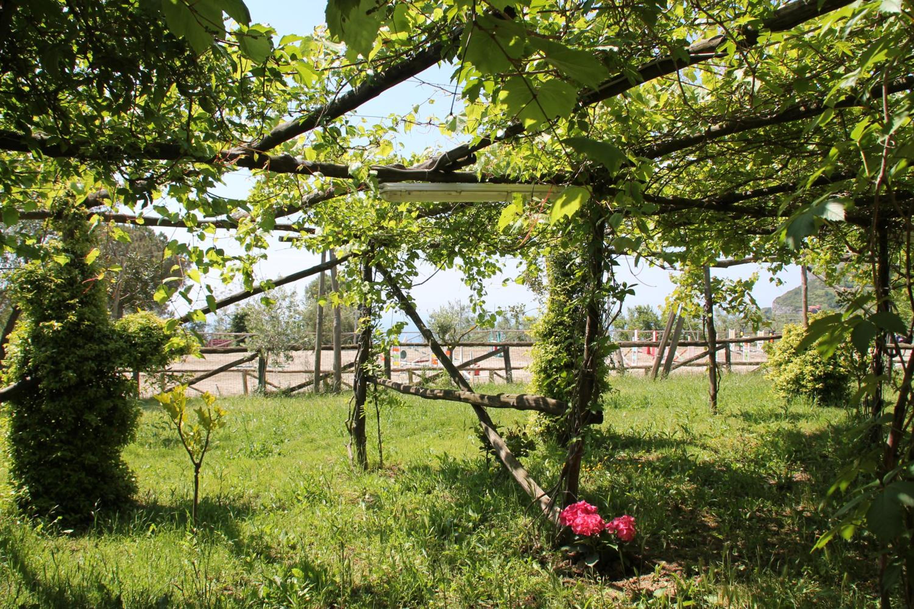 Agriturismo Piccolo Paradiso