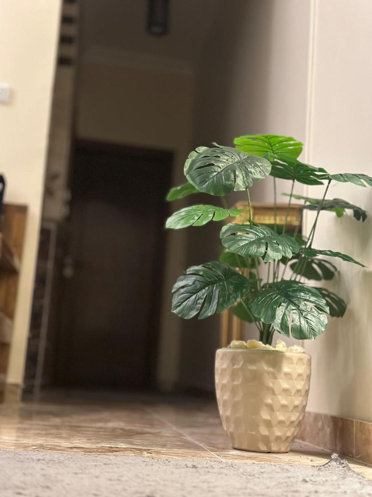 Luxe Nest Luxor Serviced Apartments 102