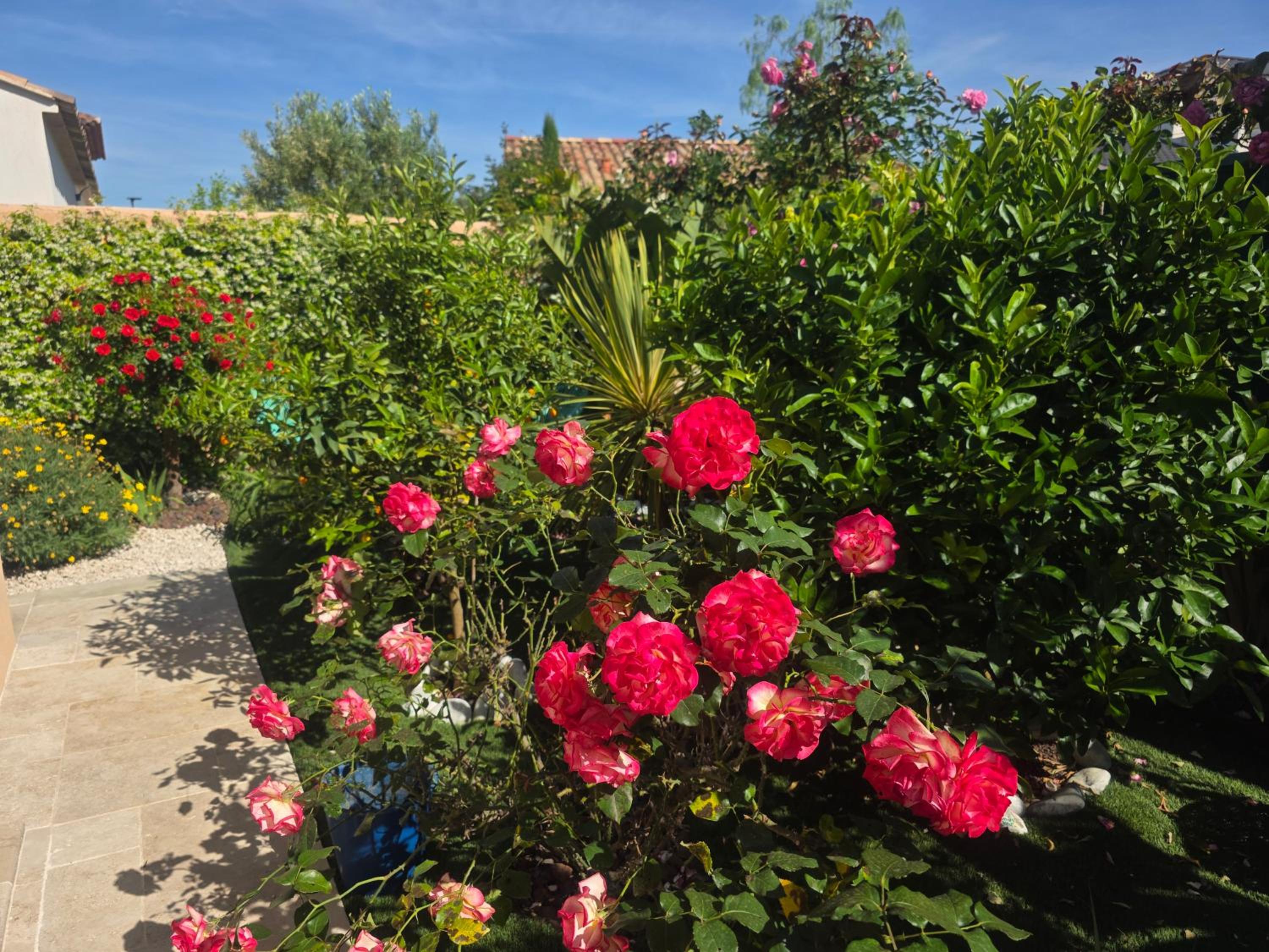 Chambre d'hôtes dans Villa Diane, photo 80