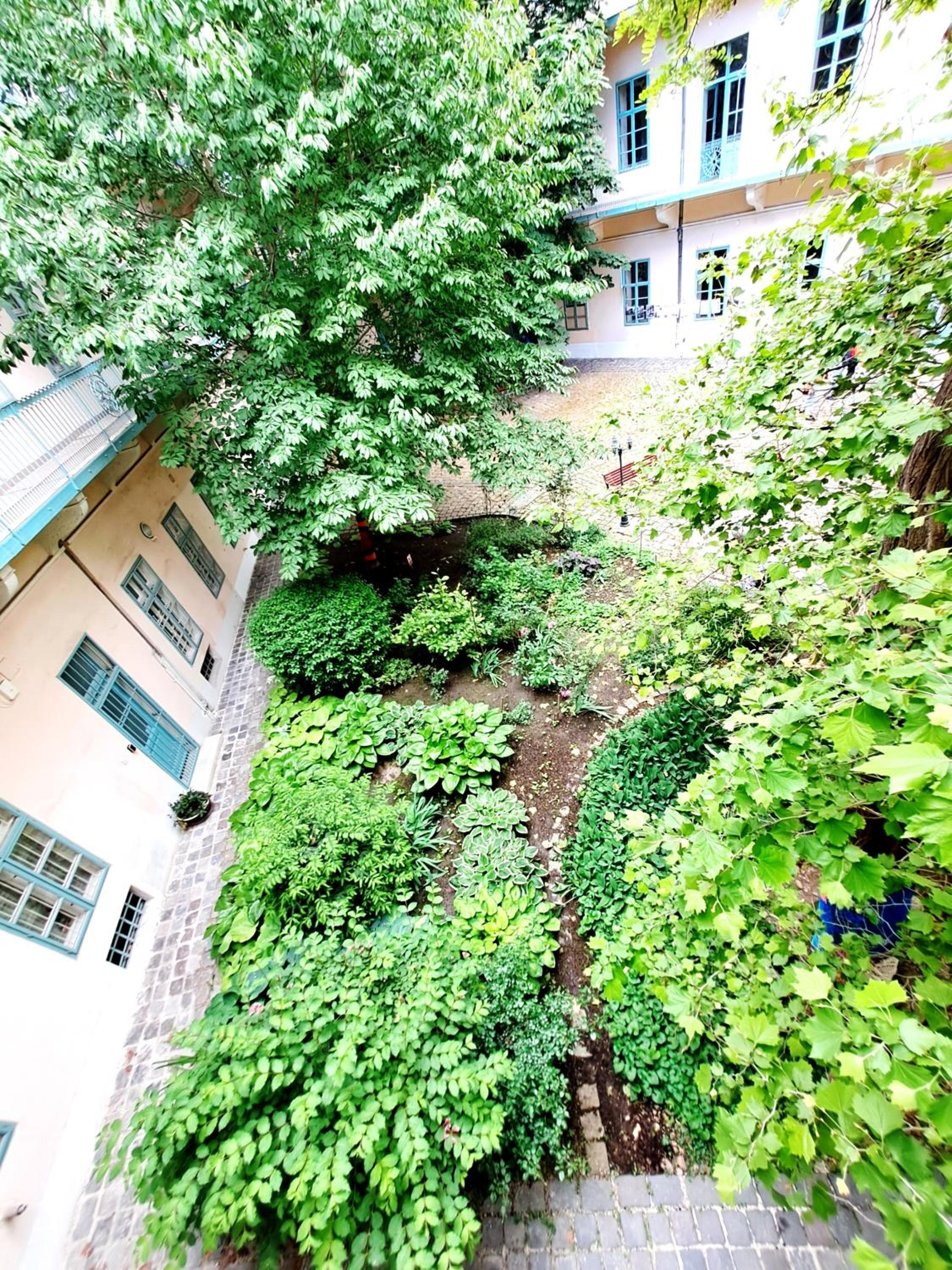 Cozy & Green Downtown Residence