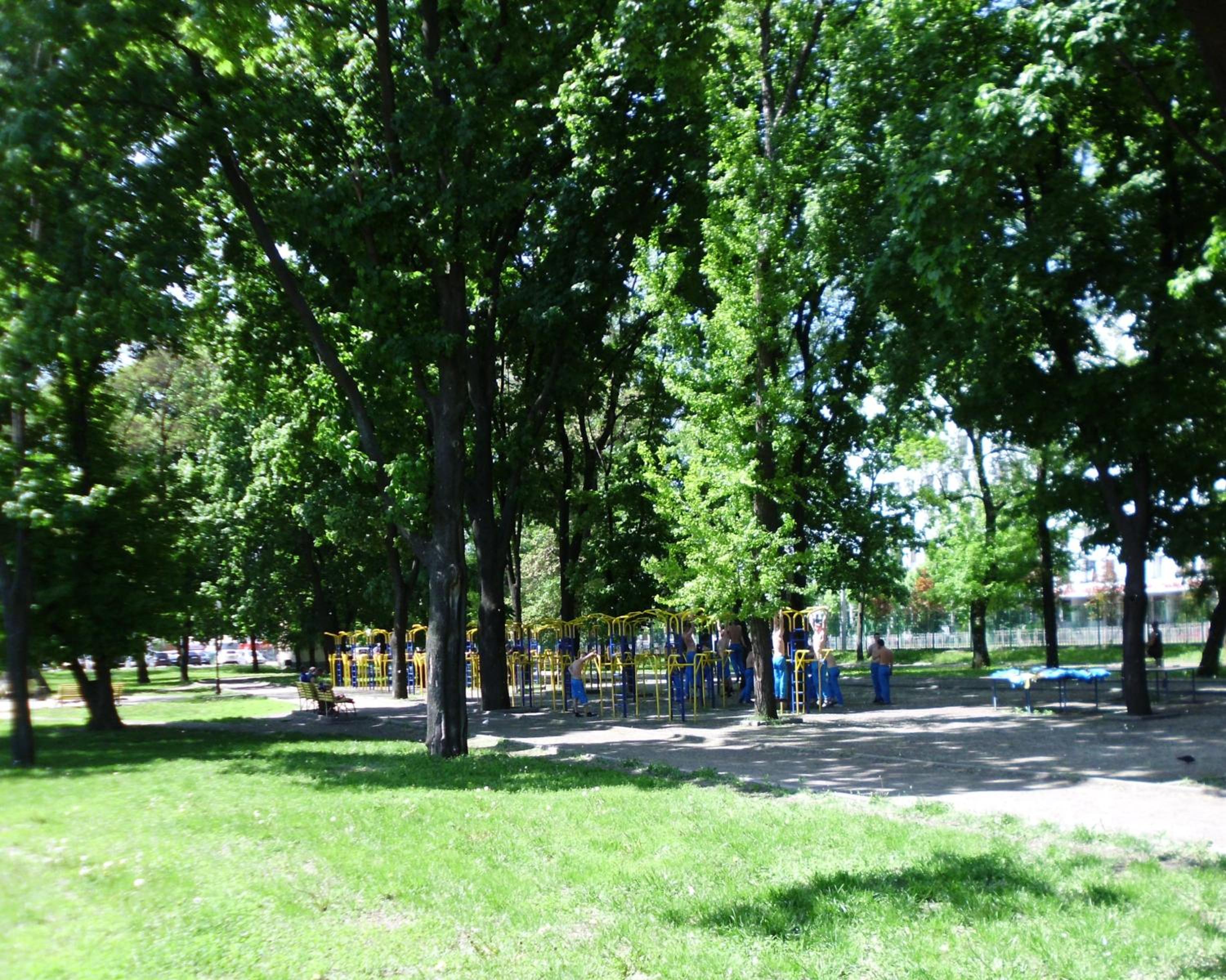 Photo 50