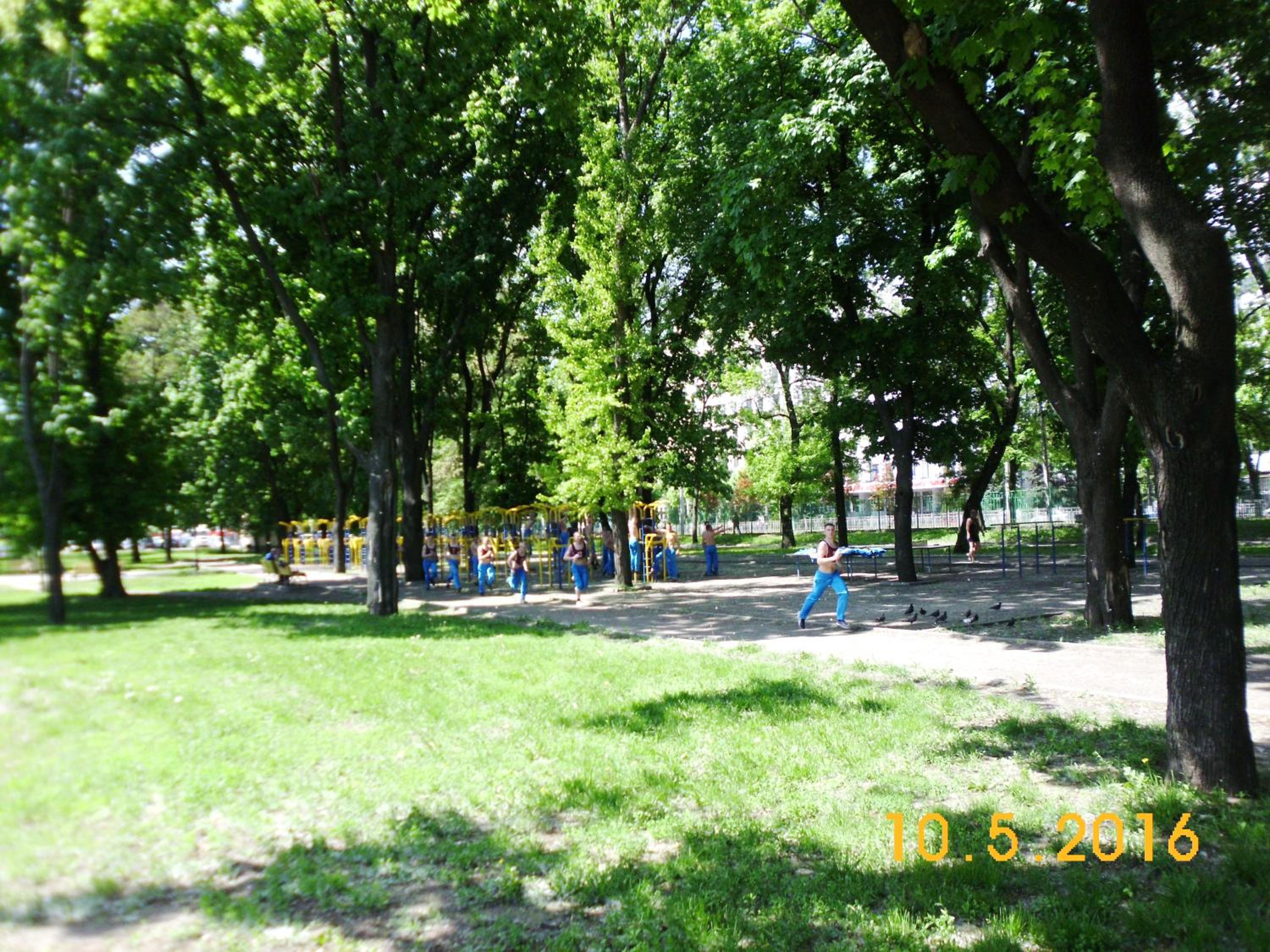 Photo 51