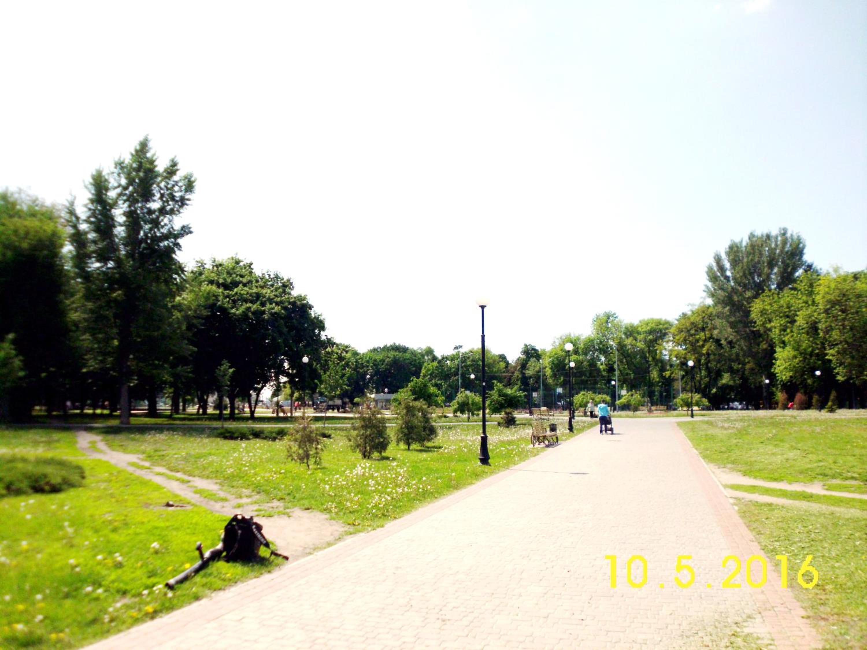 Photo 54