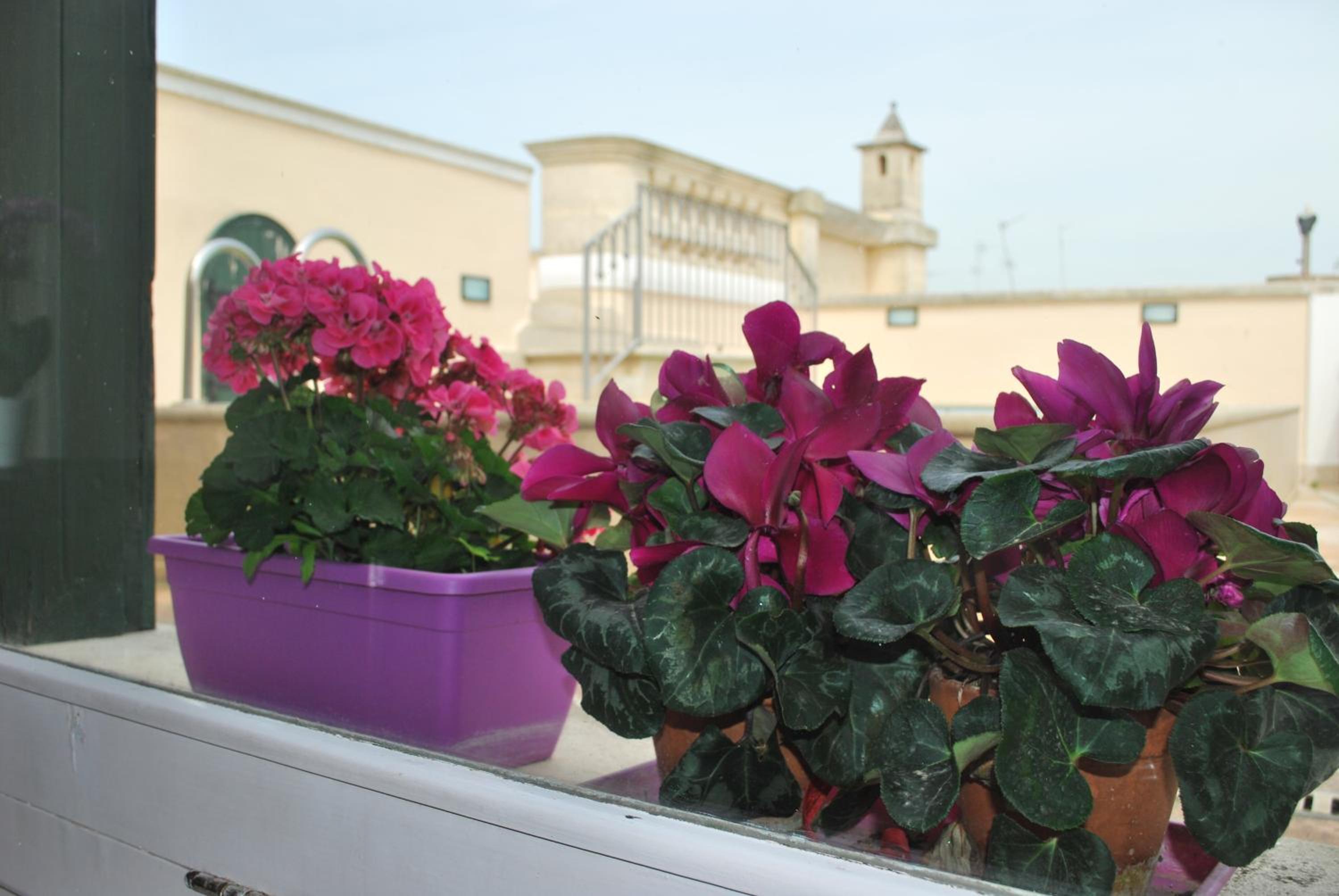 Palazzo Sottile Meninni - CLASSIC ROOMS EXPERIENCE